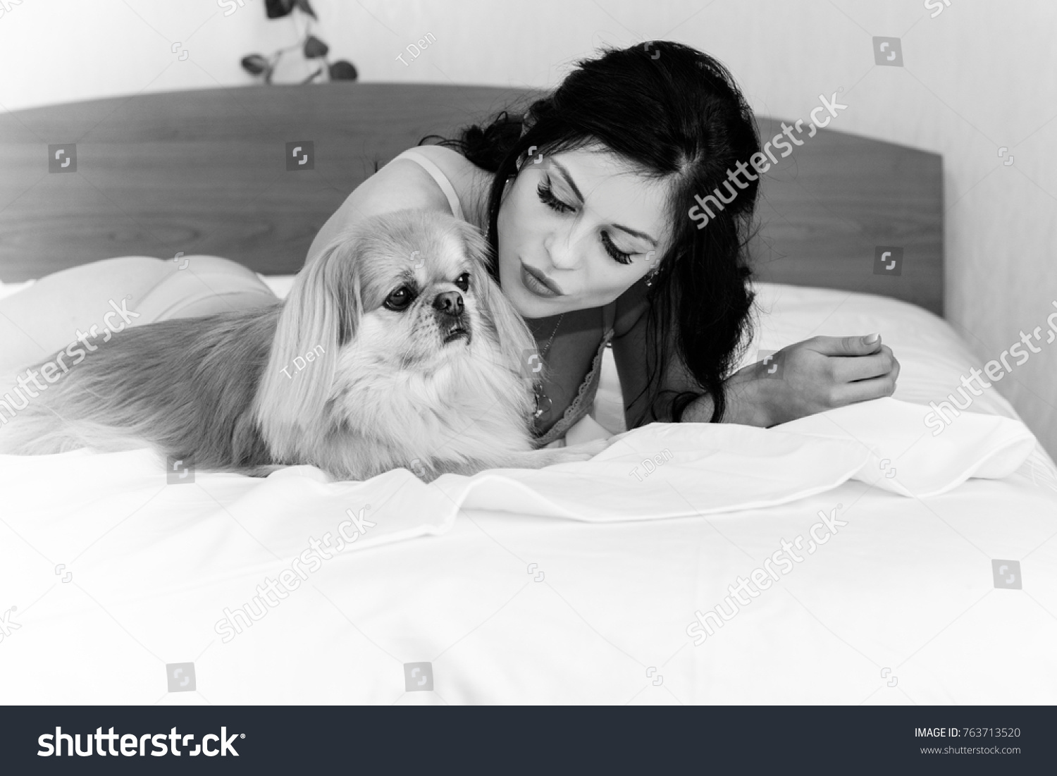 Beautiful brunette girl laying and cuddling her cute dog on bed with good mood at morning. Young woman is lying and sleeping with pekingese dog in bed. #763713520