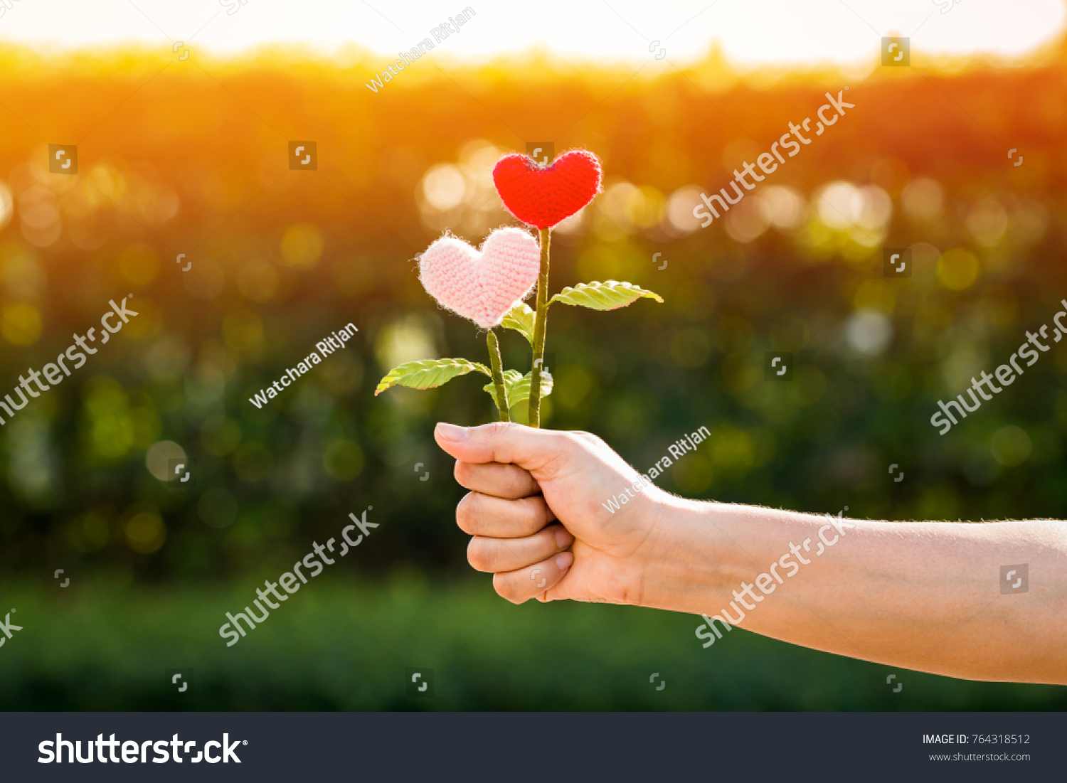 Woman hand holding a flower of heart on sunlight in the public park, for give supporting when people get who lack of desire with love concept. #764318512