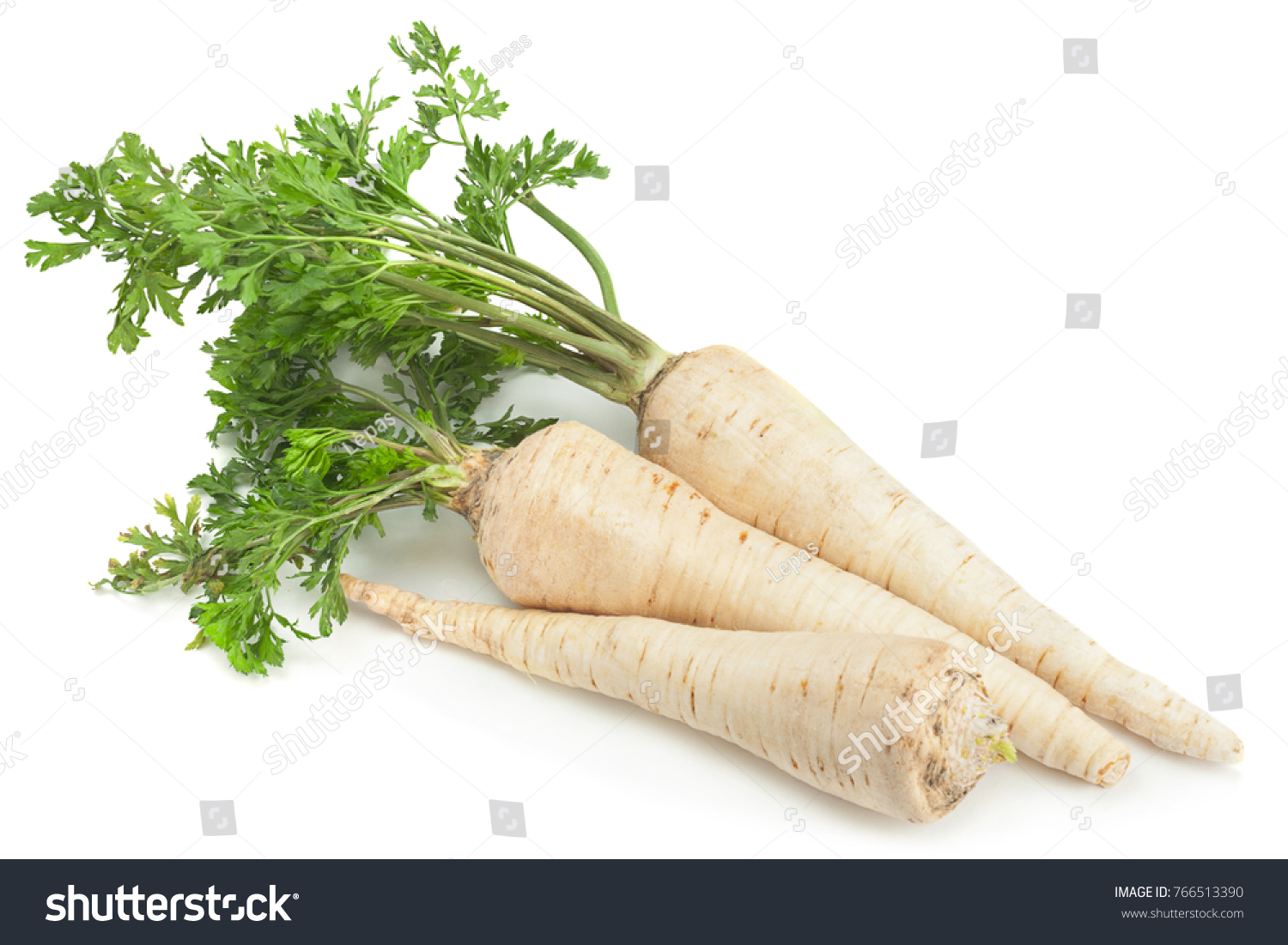 Parsnip root with leaf isolated on white background #766513390