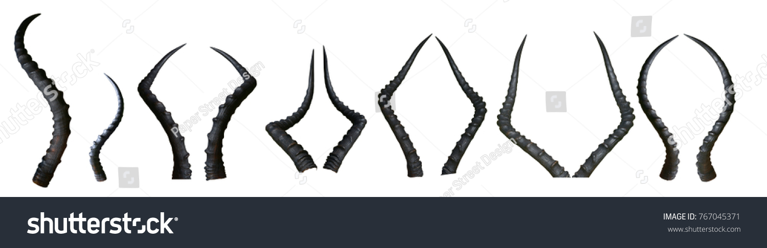 Set of isolated horns #767045371