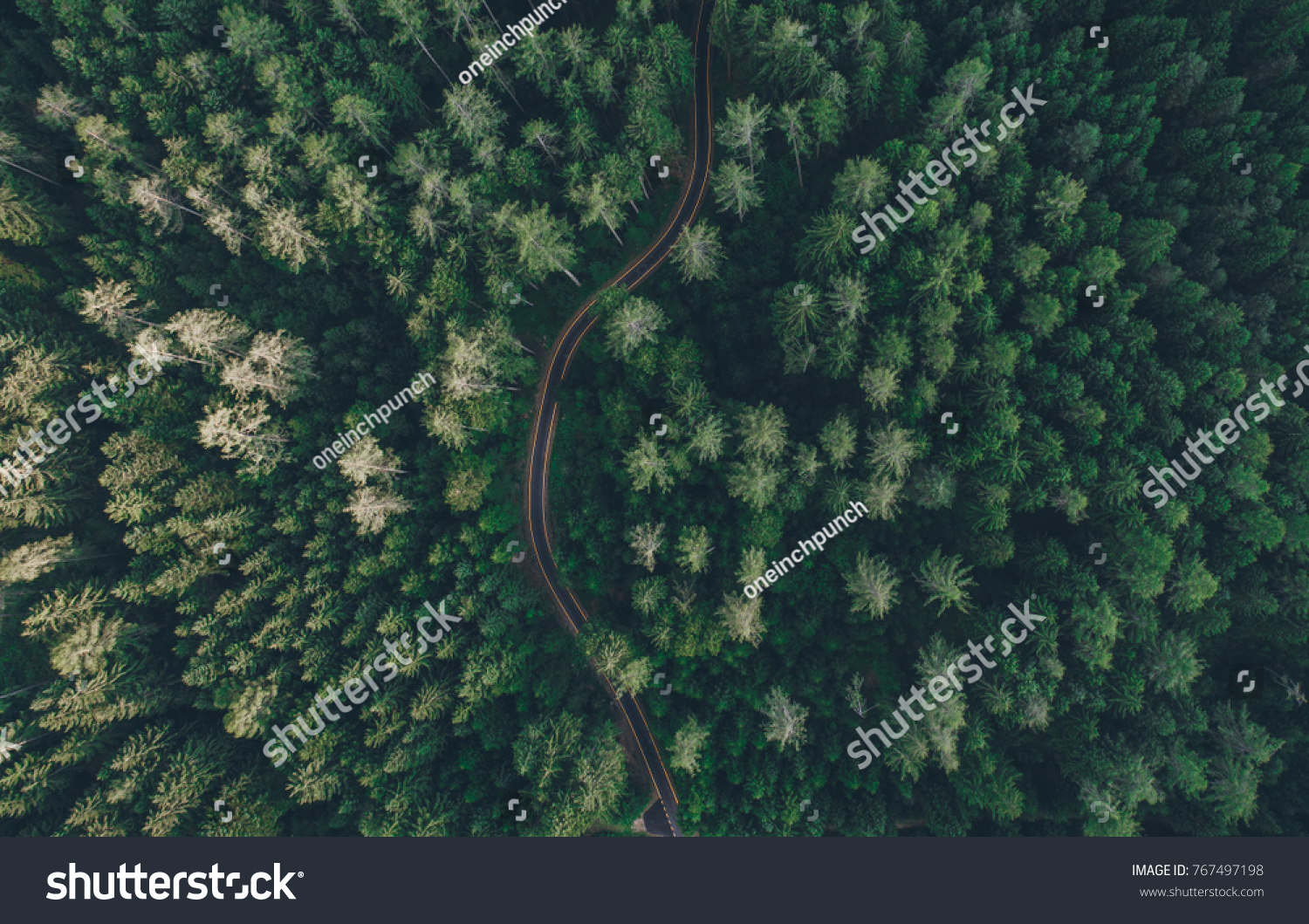 Aerial view of a road in the middle of the forest #767497198