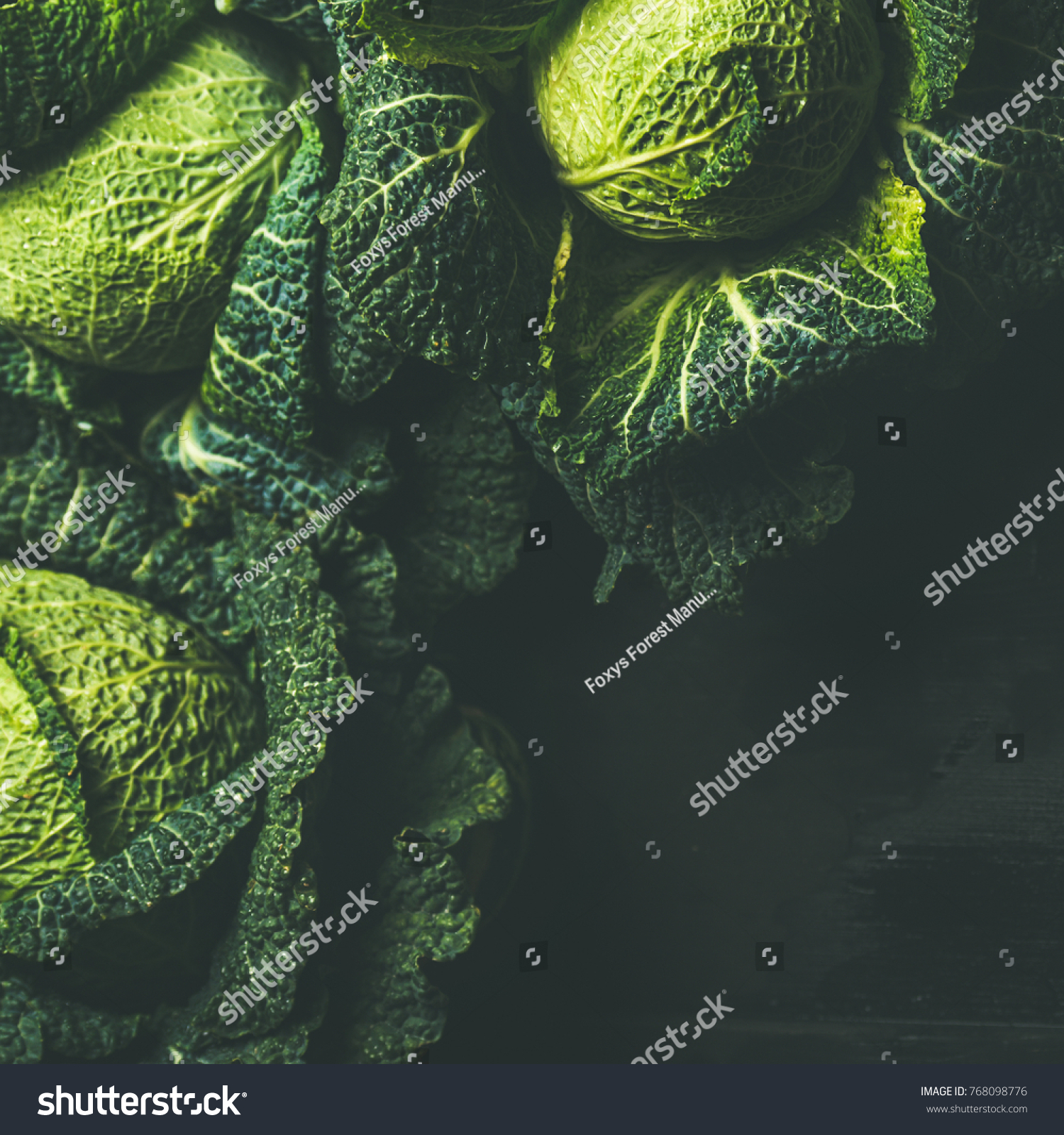 Raw fresh uncooked green cabbage over dark background, top view, selective focus, copy space, square crop #768098776