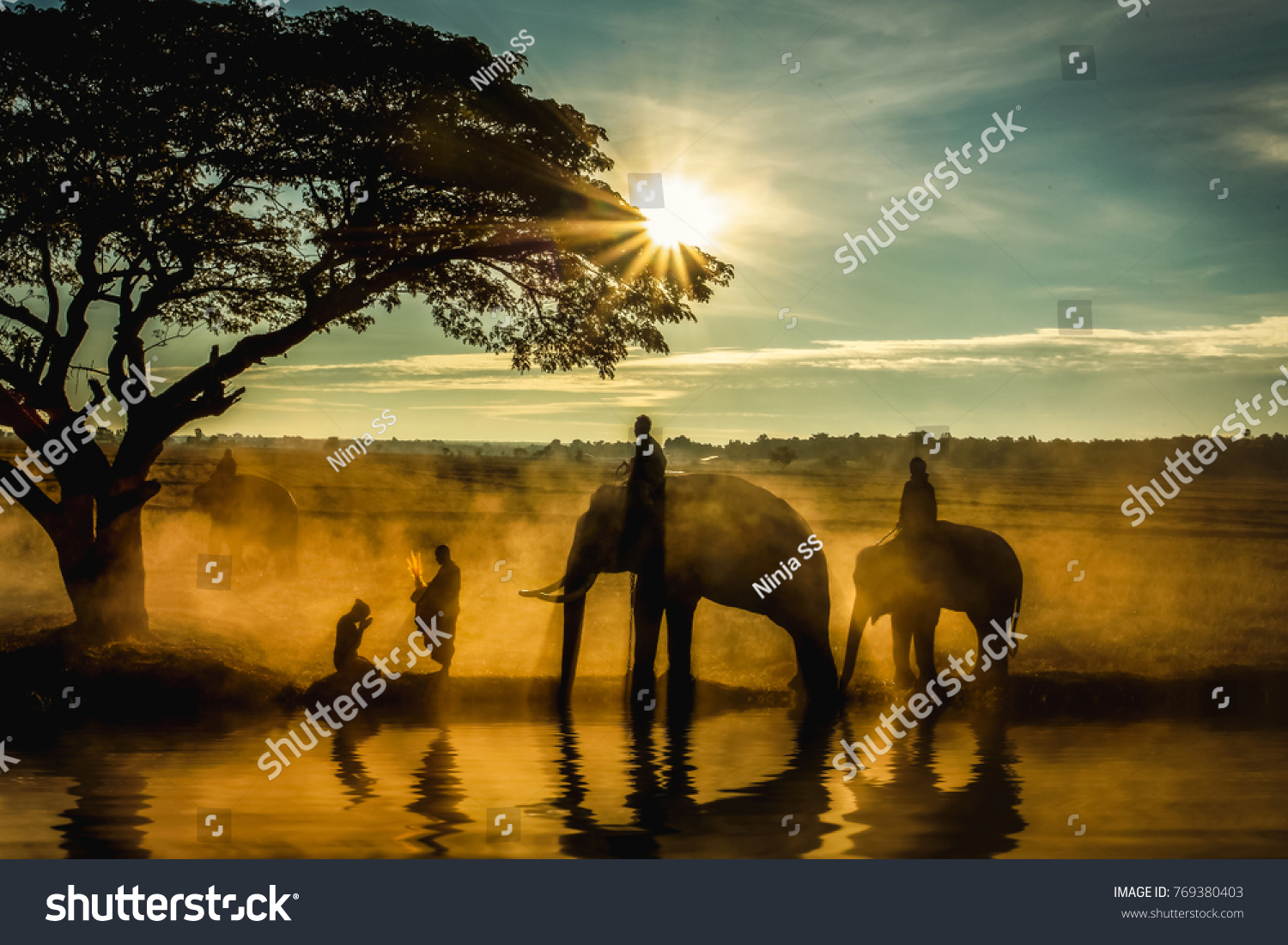 Silhouette of elephants , trees , monk and woman pay-respect in the sunset #769380403