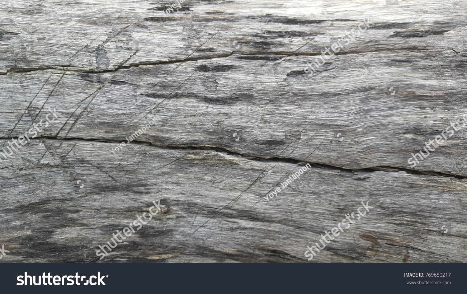 Surface eroded by time,Old wood background. #769650217