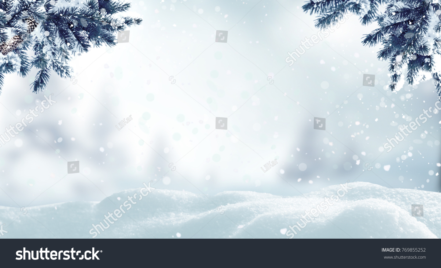 Christmas background with fir tree branch.Winter landscape #769855252