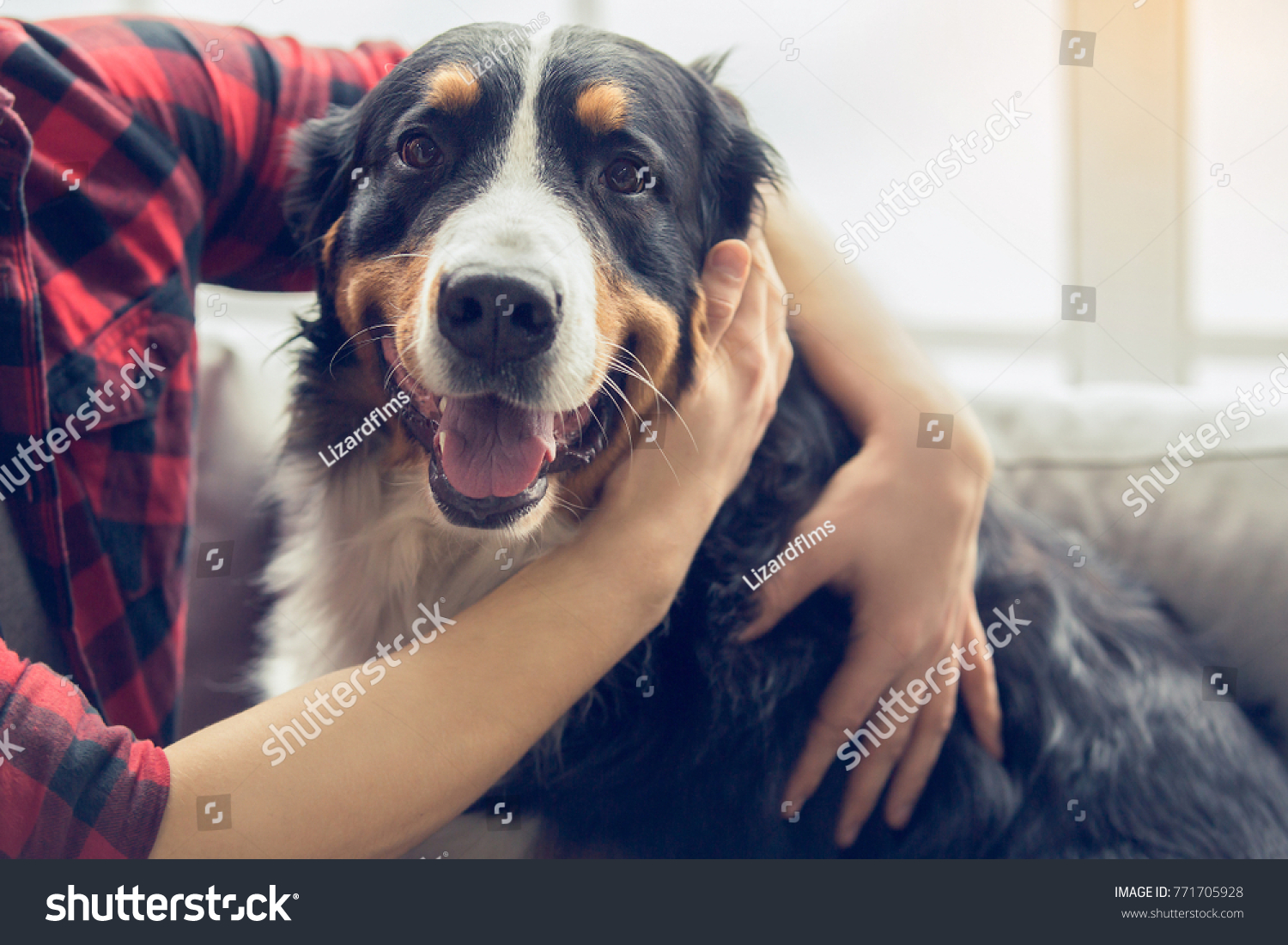 Young person with dog at home leisure #771705928