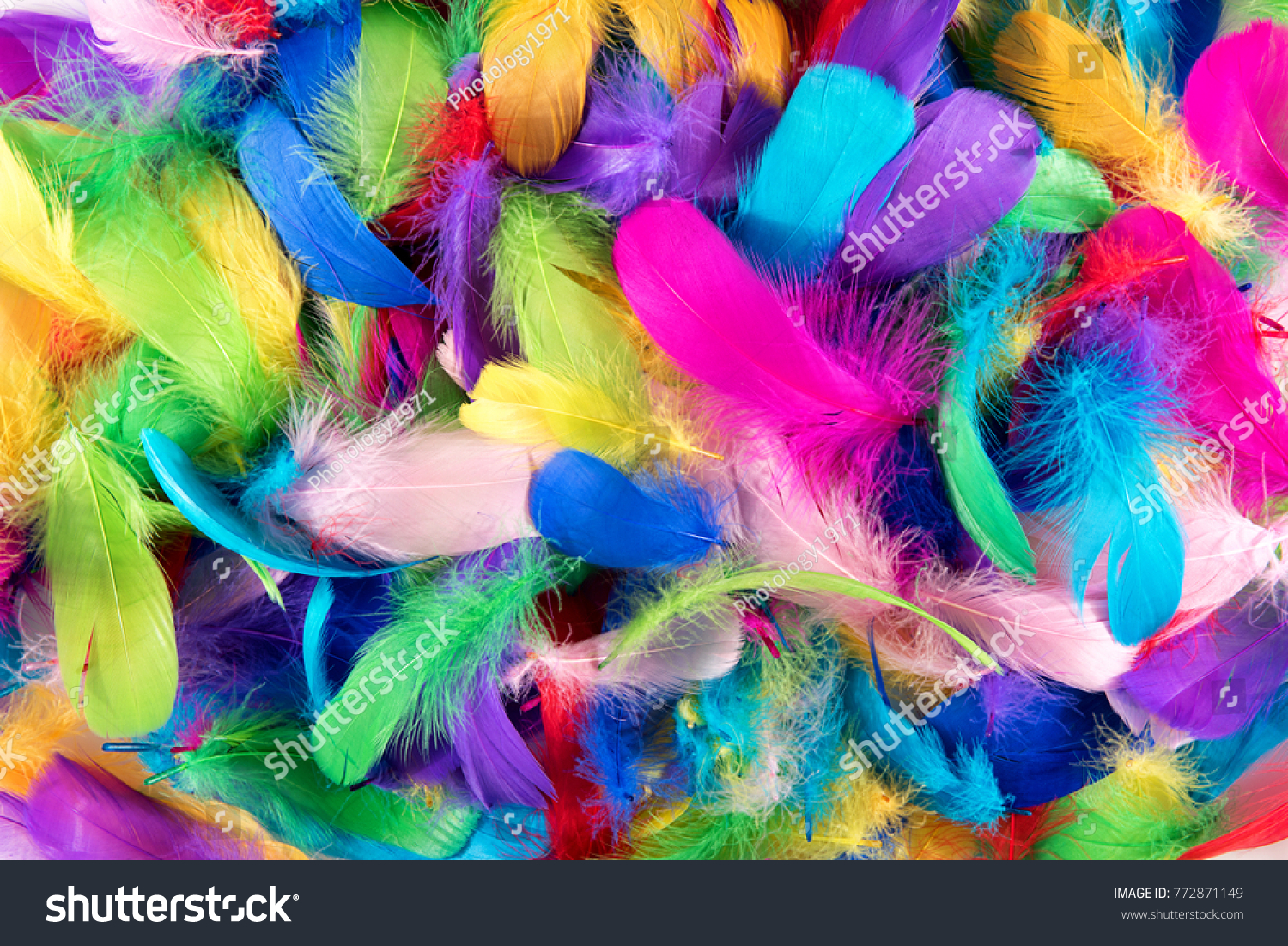 Background texture of brightly colored dyed bird feathers in the colors of the rainbow or spectrum in a random pile viewed from above in a full frame view #772871149