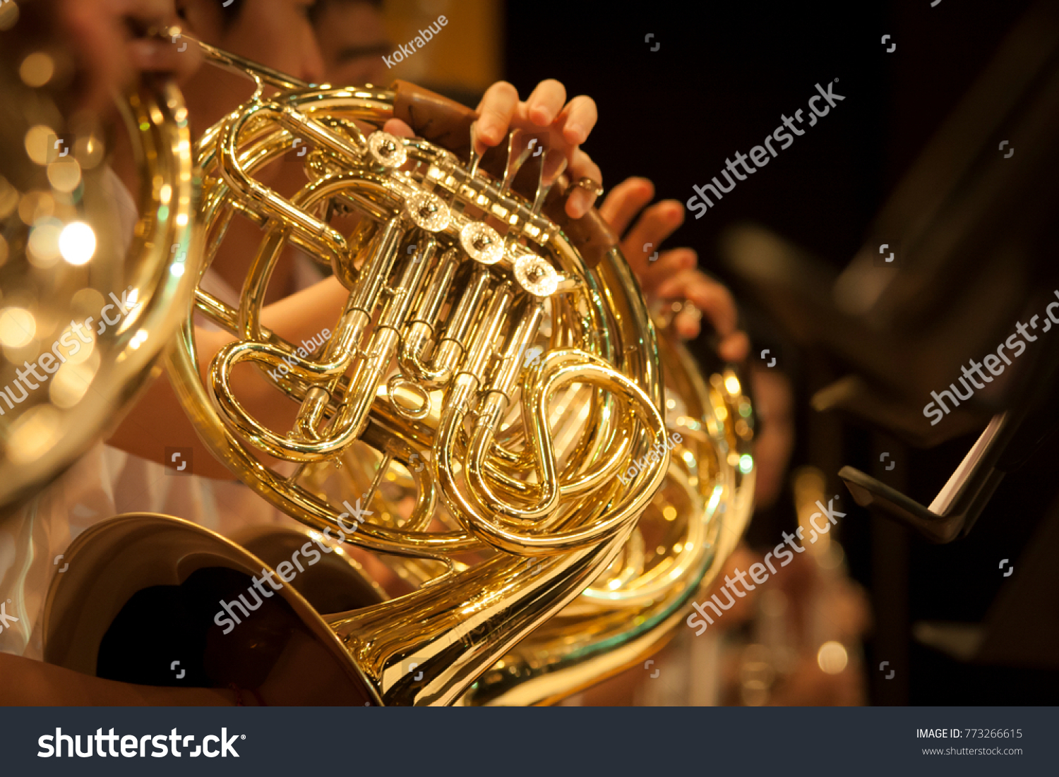 French Horn intrument #773266615