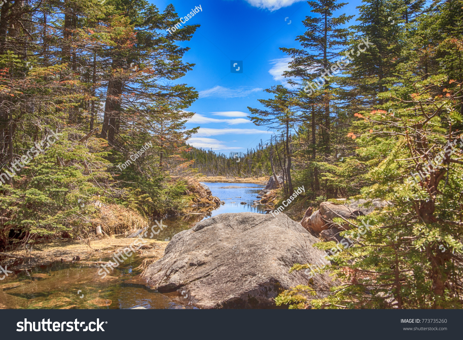 Adirondack Lake View with Mountains #773735260