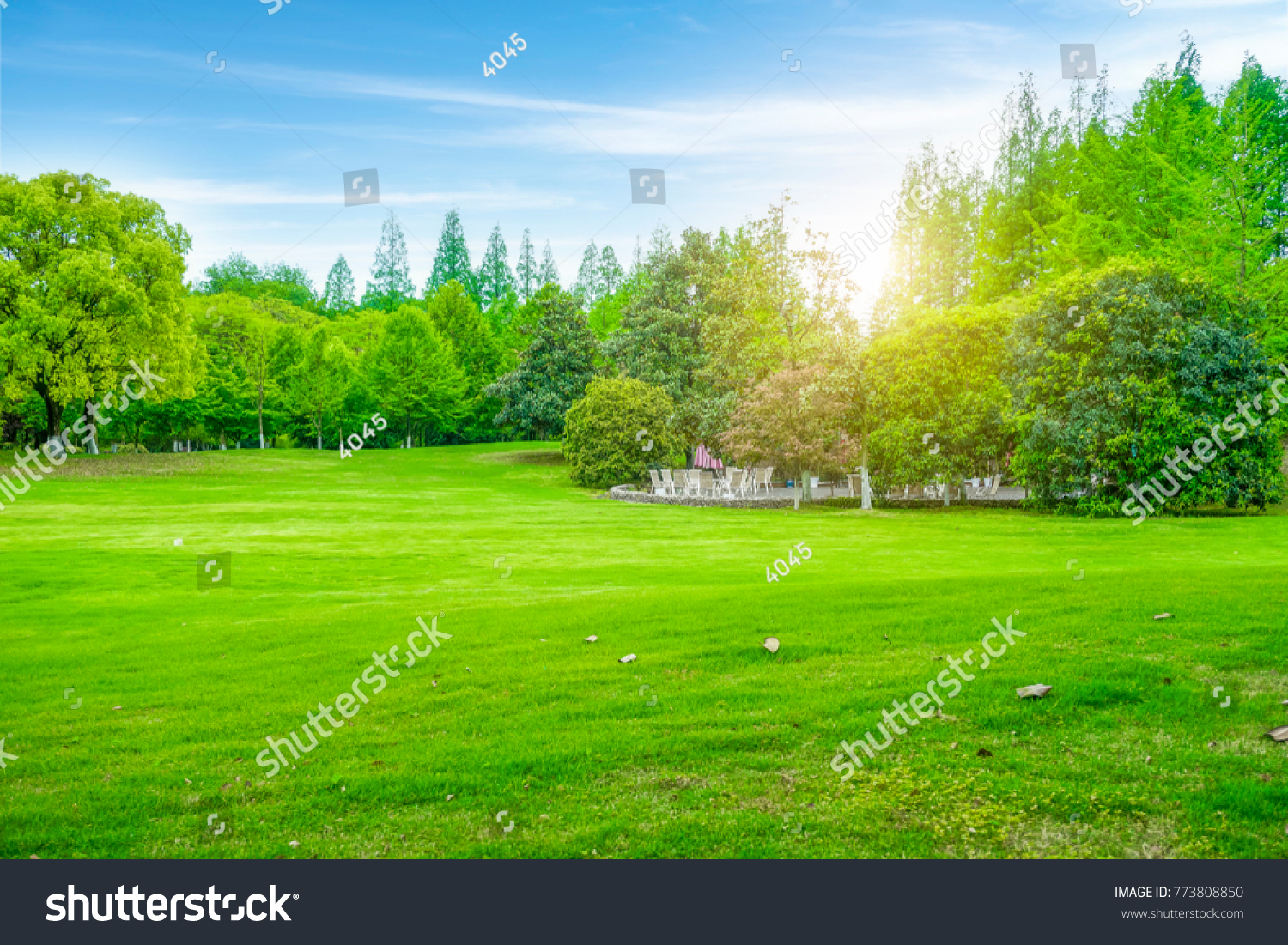 Beautiful outdoor woods and lawns #773808850