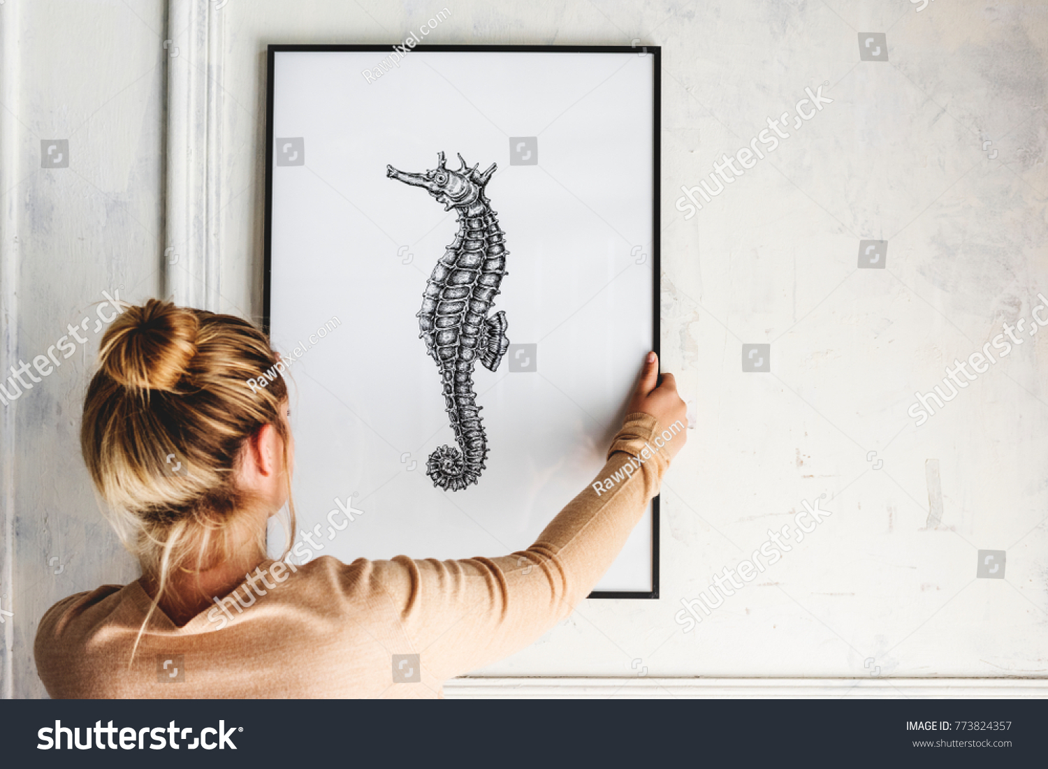 Photo of hand drawing seahorse is hanging on the wall #773824357