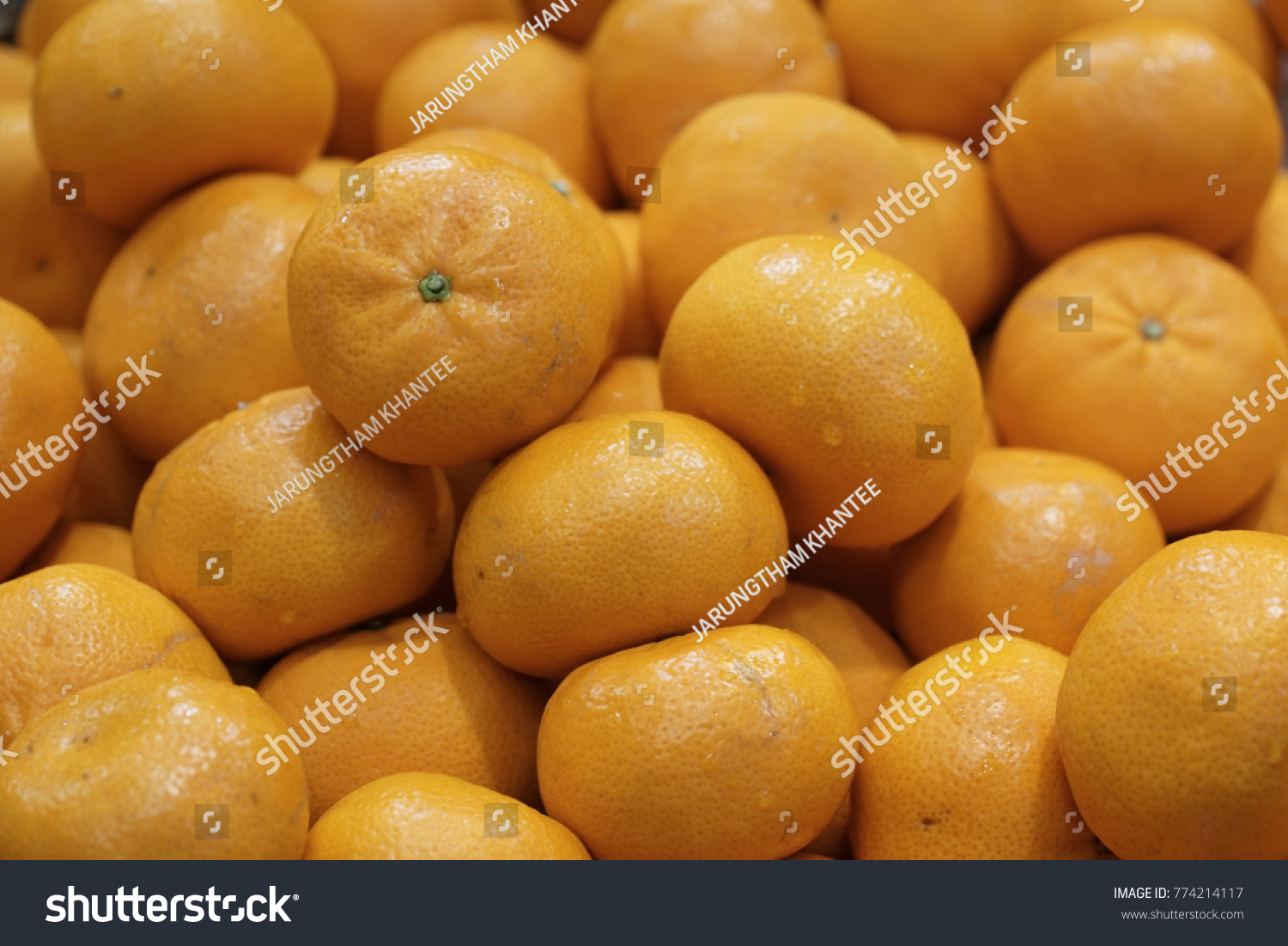 orange orange orange #774214117