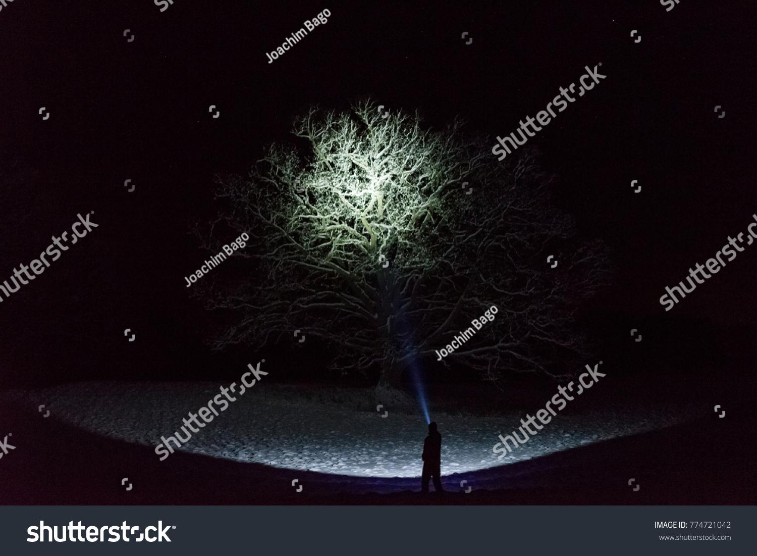 Man standing outdoors at night in Sweden Scandinavia winter landscape shining with flashlight at sky. Nice blue light beam. Beautiful, calm and peaceful abstract image. #774721042