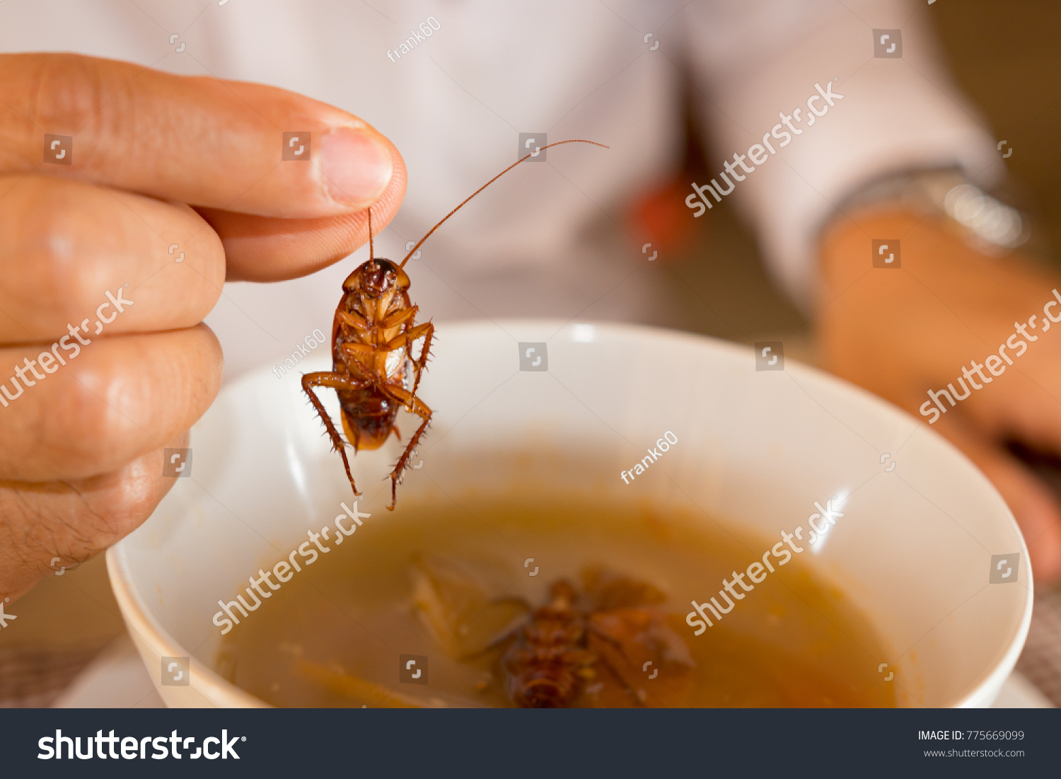 Cockroach in hand take up from soup,Contaminant bacteria food risk of food poisoning
 #775669099