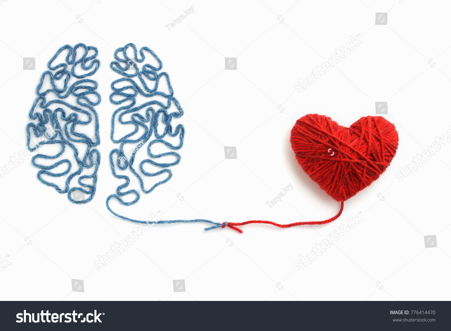 Heart and brain connected by a knot on a white background #776414470