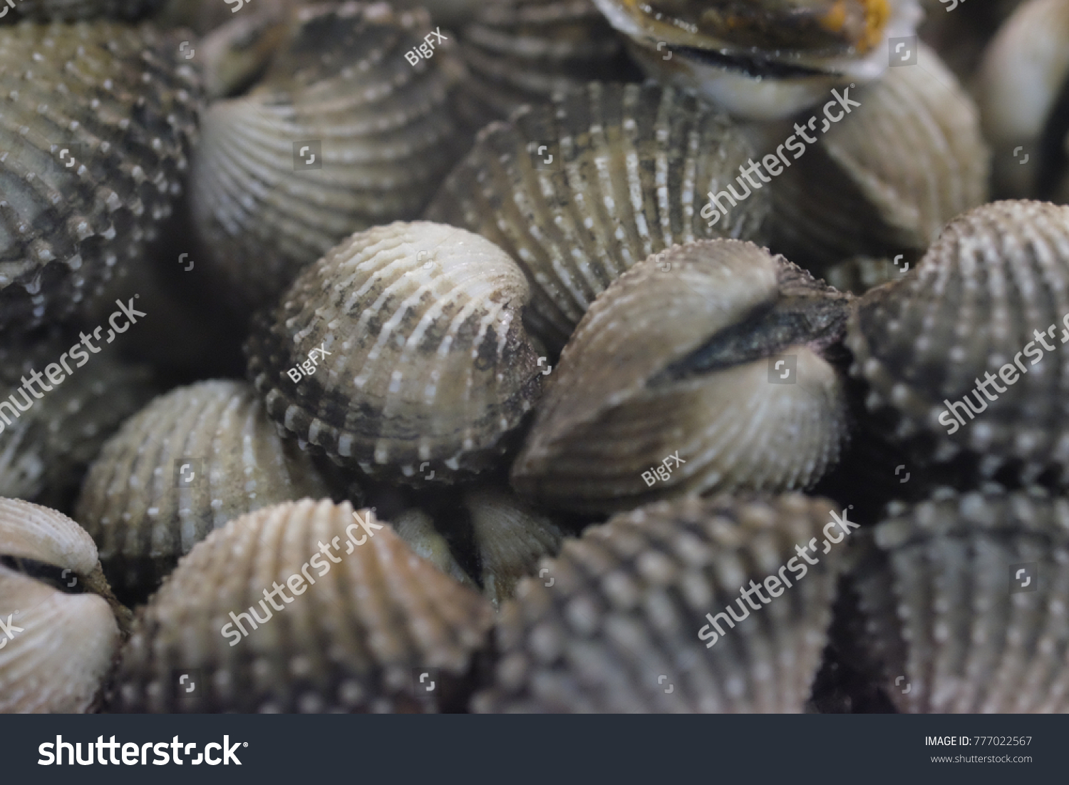 Steamed blanched clams with dipping sauce #777022567