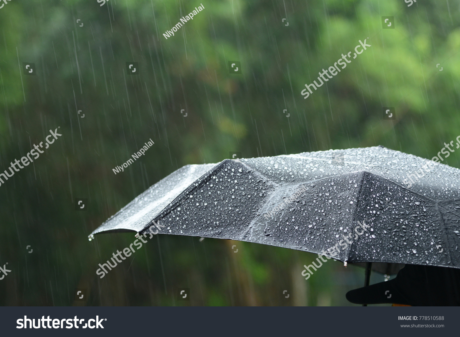 A person with umbrella in rain. #778510588
