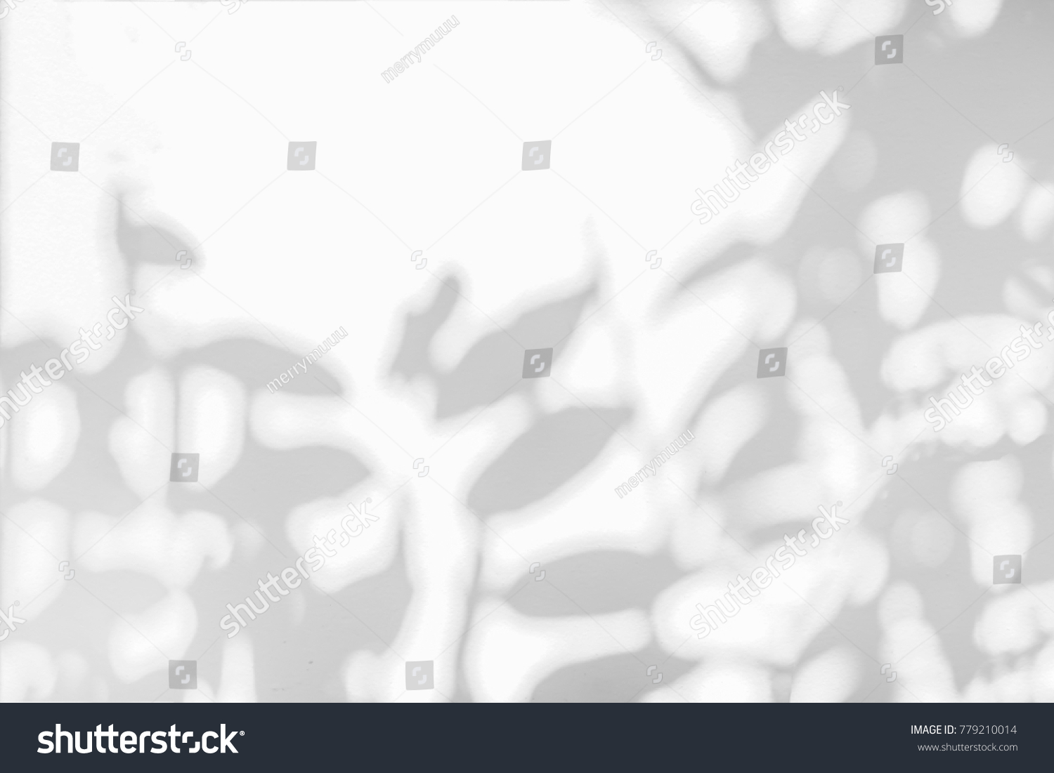 Abstract gray shadow background of natural leaves tree branch falling on white wall texture for background and wallpaper, black and white monochrome tone
 #779210014