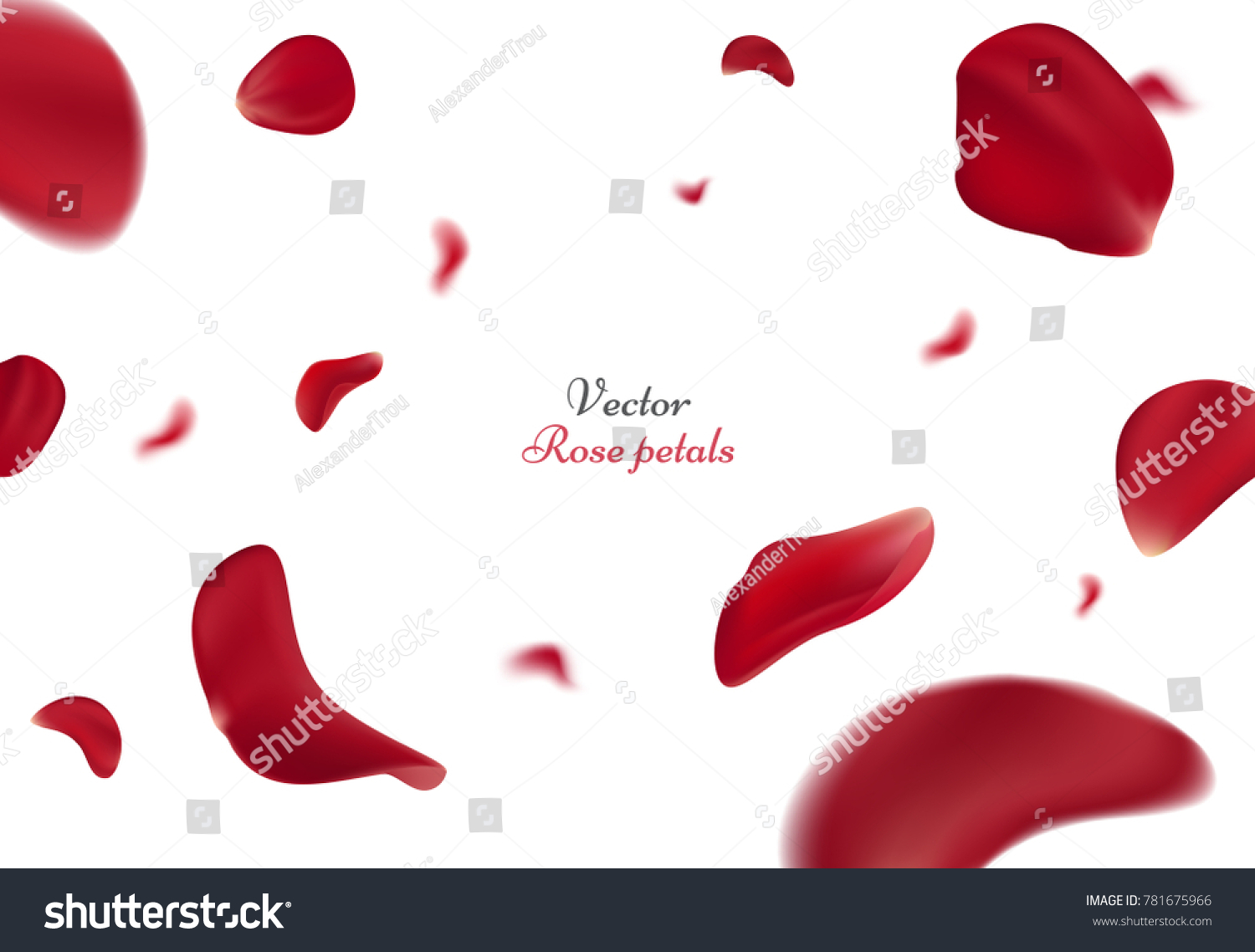 Falling red rose petals isolated on white background. Vector illustration with beauty roses petal, applicable for design of greeting cards on March 8 and St. Valentine's Day. Eps 10 #781675966