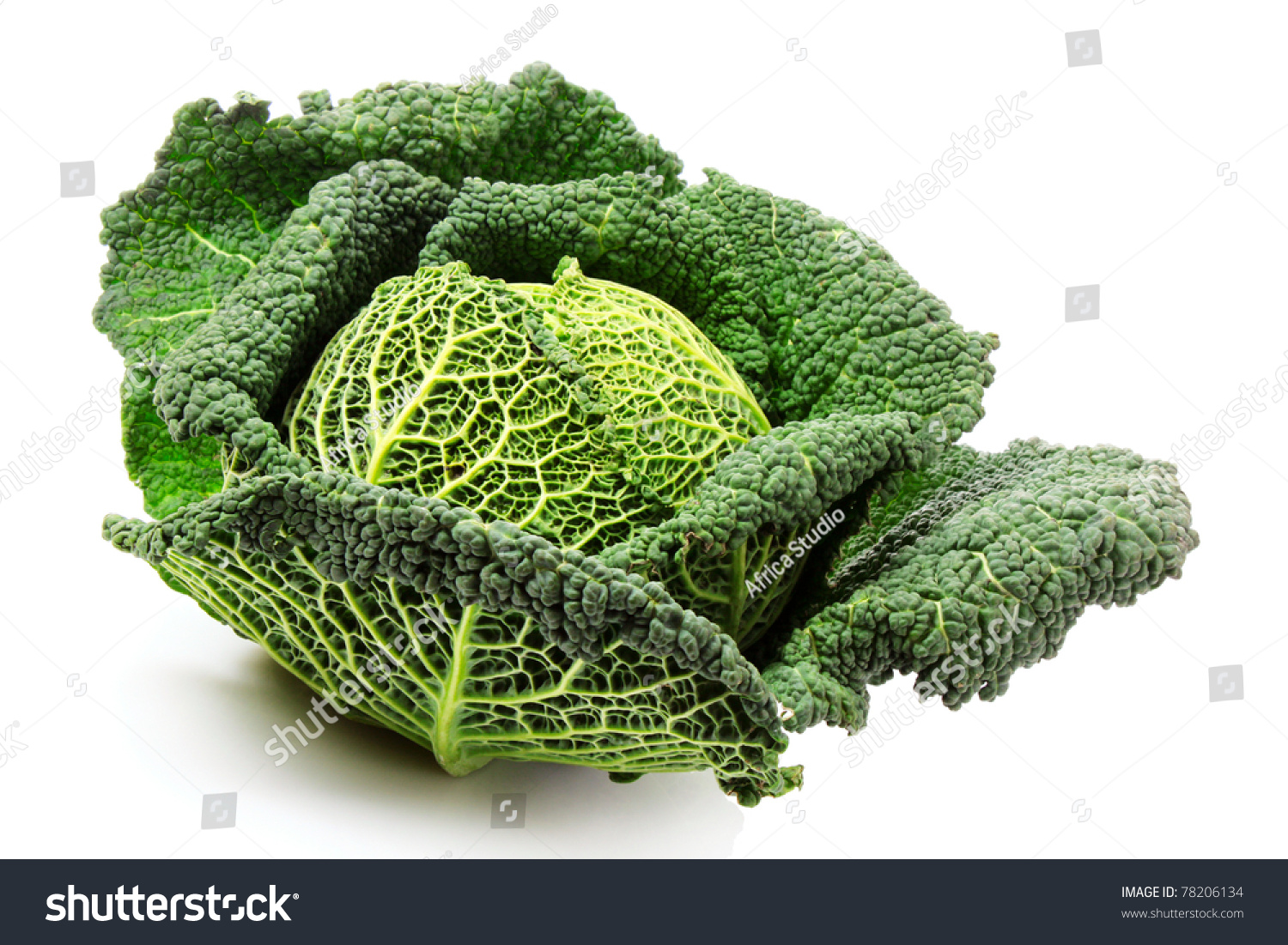 Savoy cabbage isolated on white #78206134