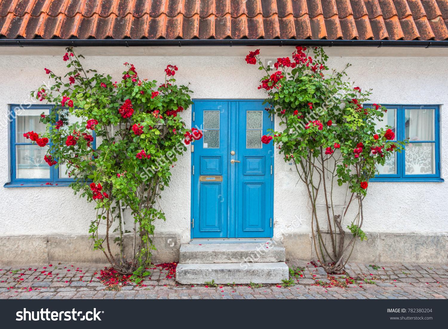 Beautiful views of Visby, main city on Gotland, island in Baltic Sea in Sweden.Best-preserved historical medieval city in Scandinavia. White stone house, windows with blue frames, red rose shrubs. #782380204