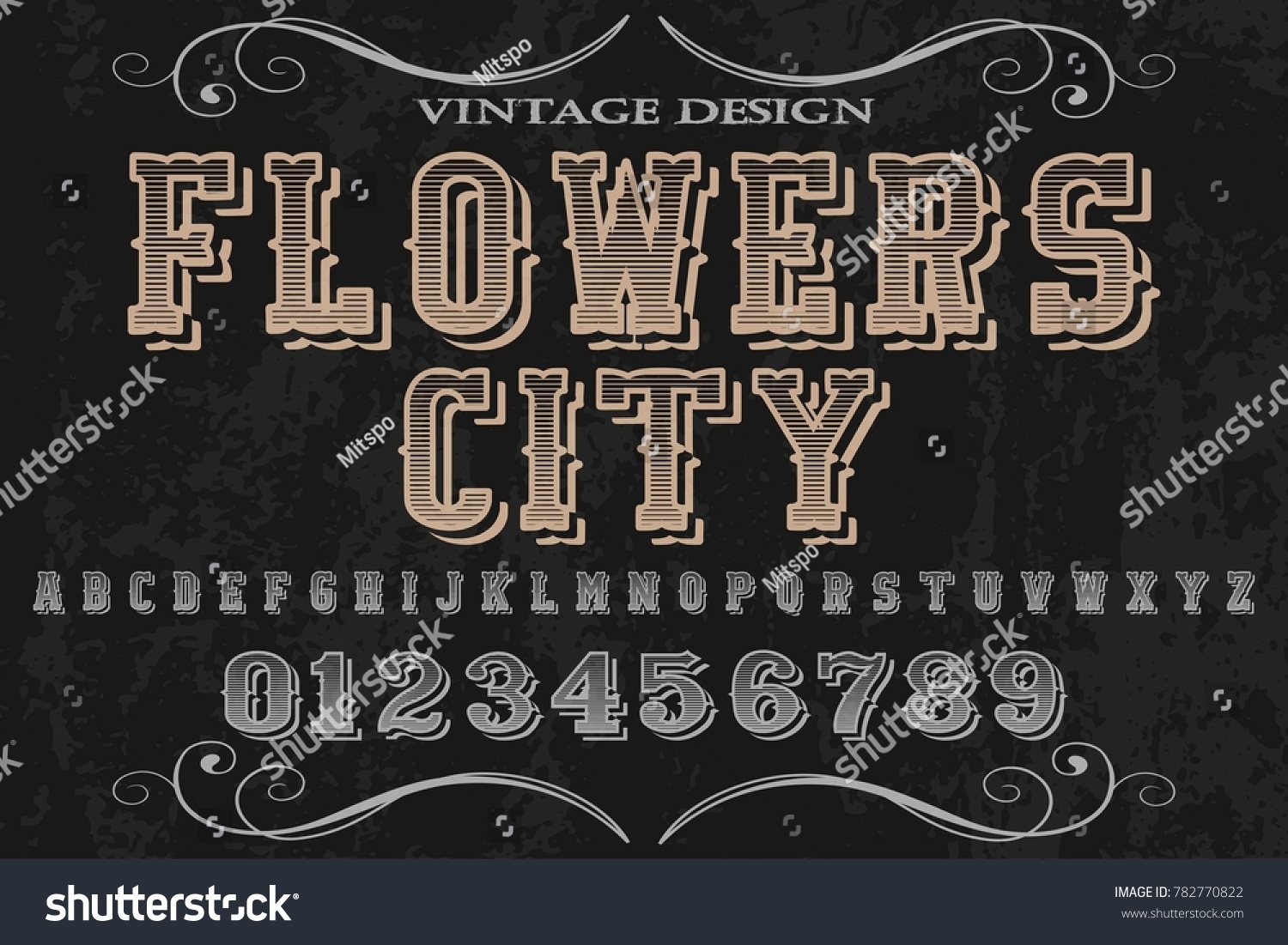 Font Alphabet Script Typeface Handcrafted Royalty Free Stock Vector 782770822 