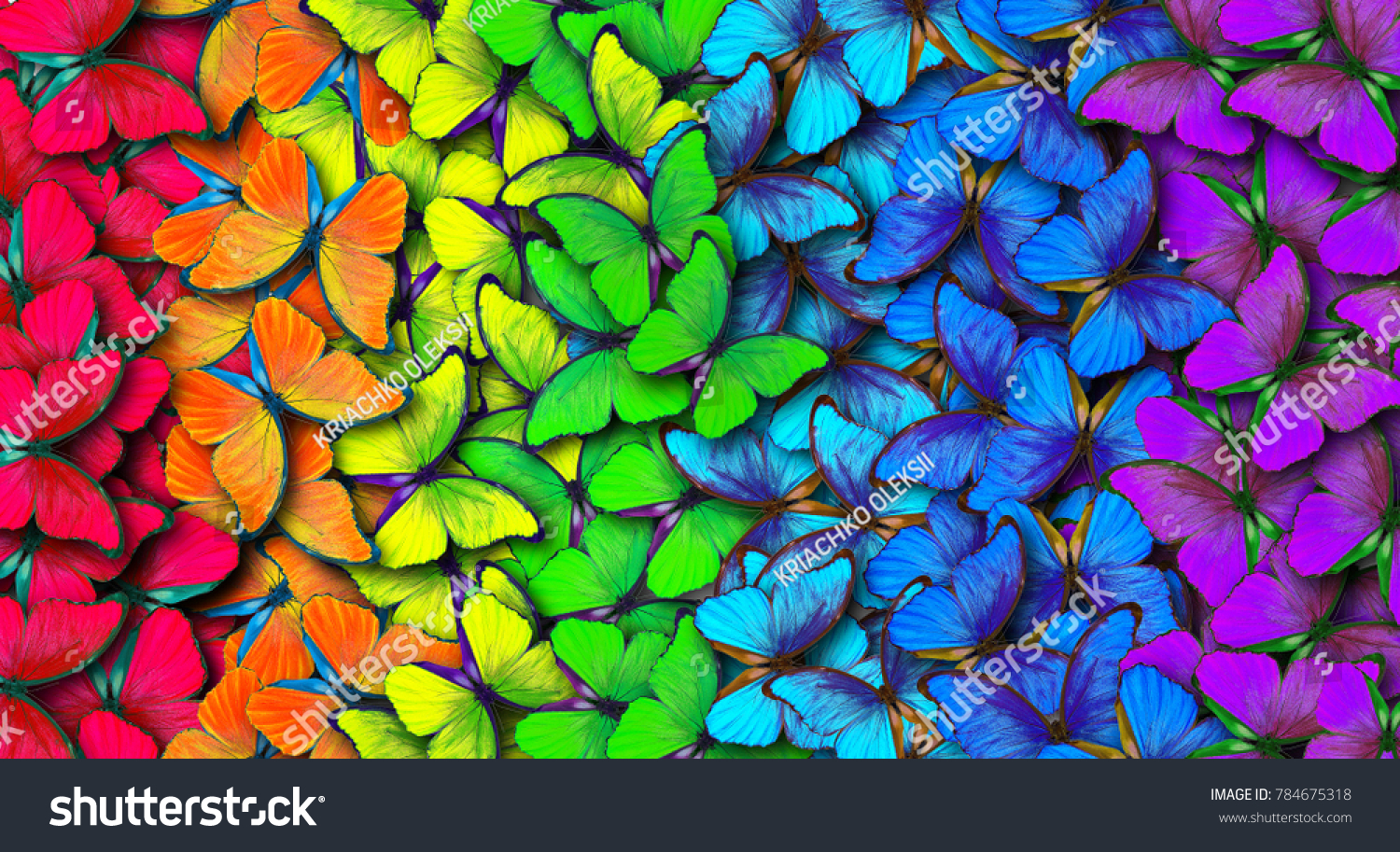 Colors of rainbow. Pattern of multicolored butterflies morpho, texture background. #784675318