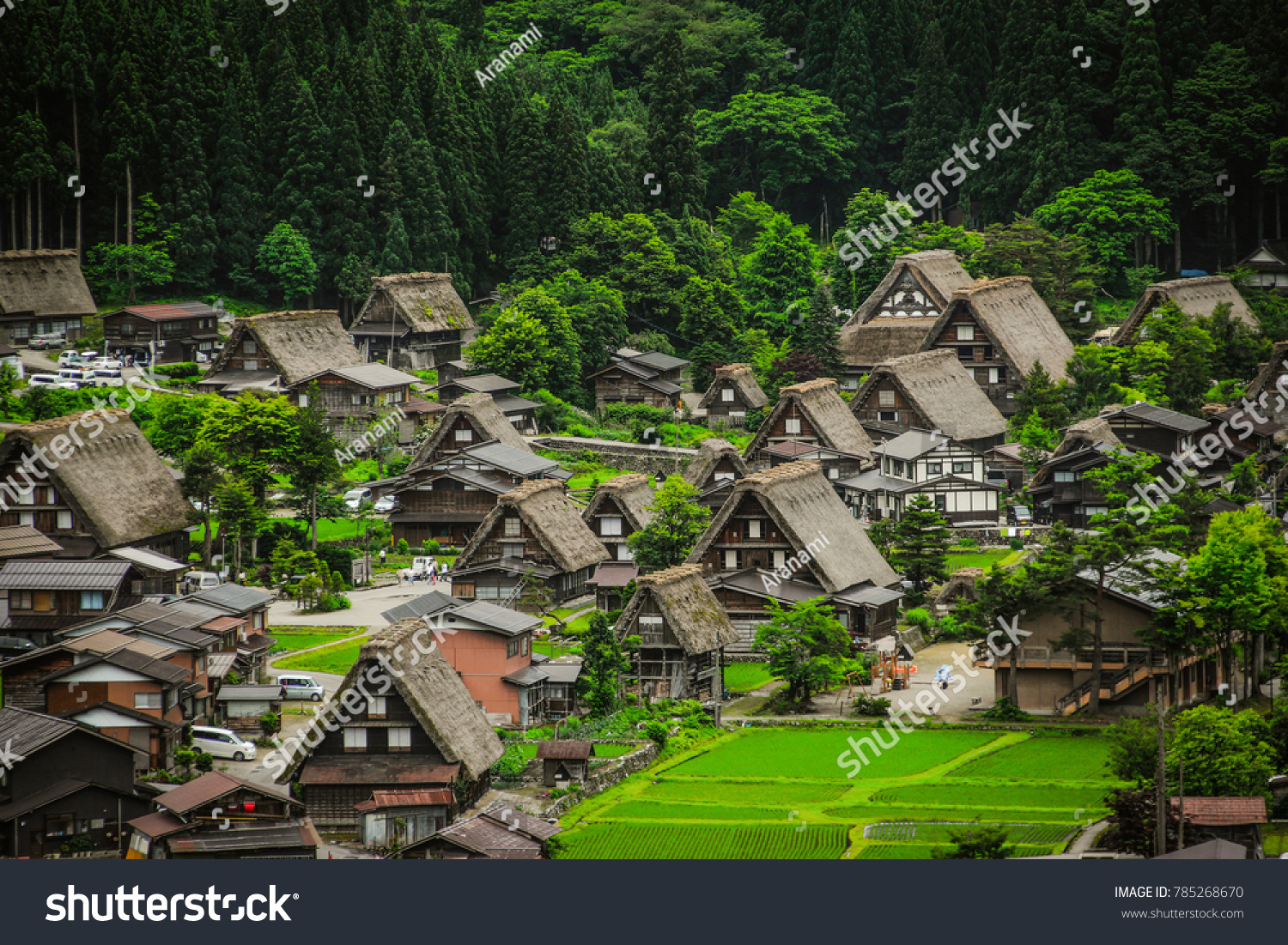 Gassho-zukuri houses in Gokayama Village. Gokayama has been inscribed on the UNESCO World Heritage List due to its traditional Gassho-zukuri houses, alongside nearby Shirakawa-go in Gifu Prefecture. #785268670