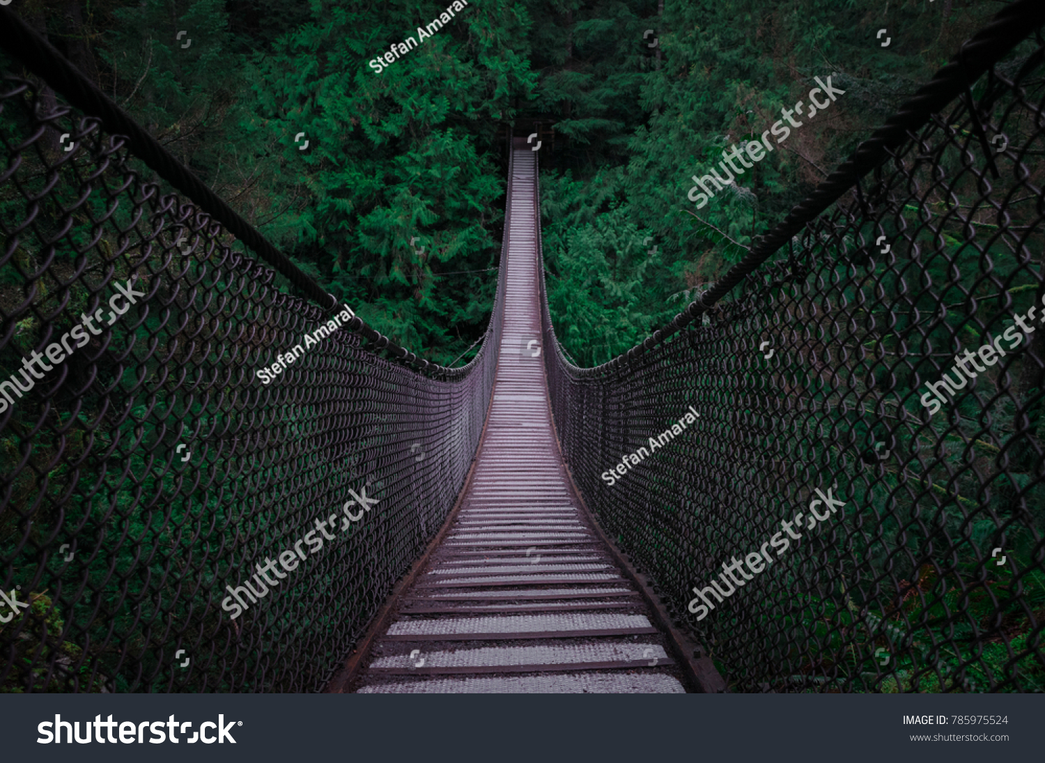Suspension Bridge into Dark trees  #785975524