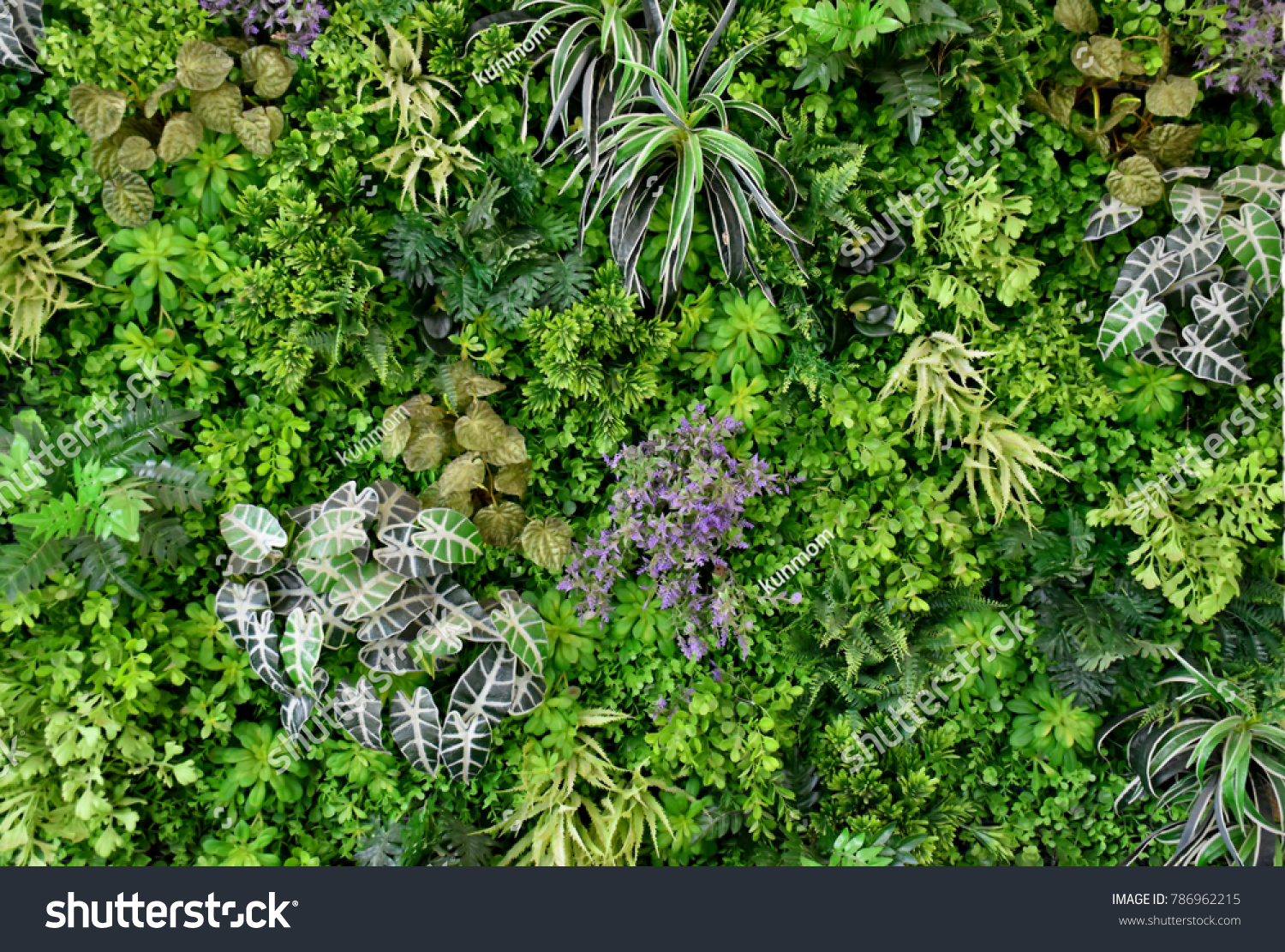 wall is full of Vegetation green color. #786962215