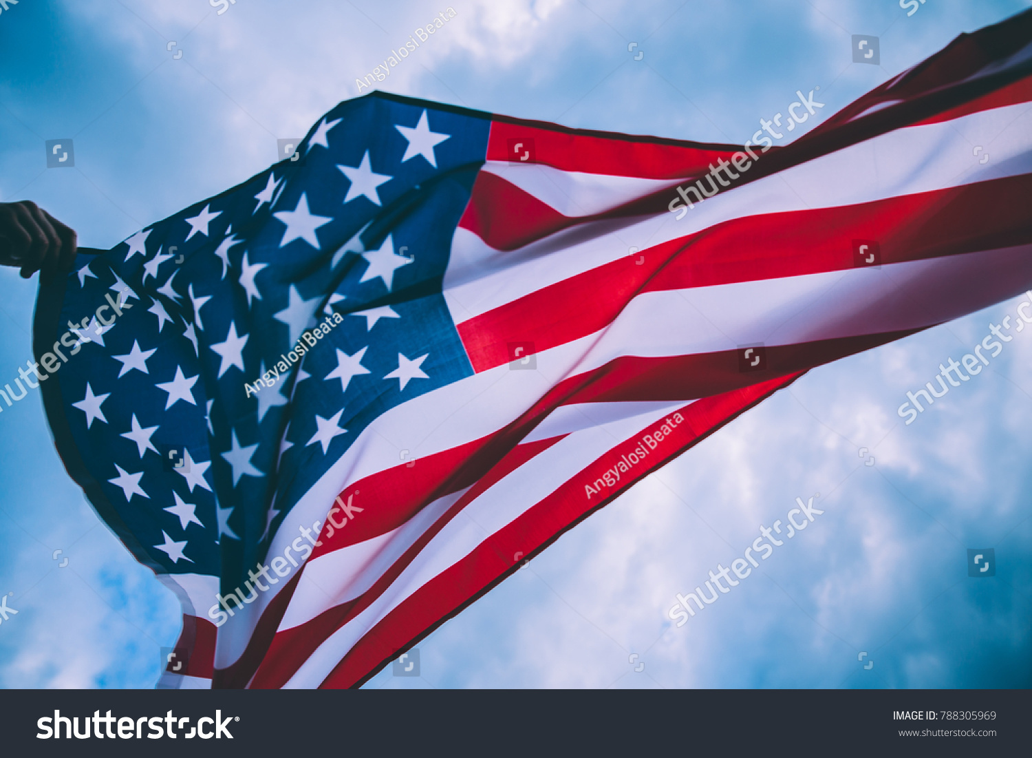 USA flag blown by the wind. #788305969