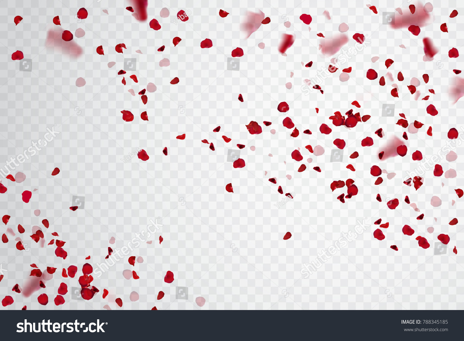 
Rose petal falling. Confetti pelal. Vector stock. #788345185