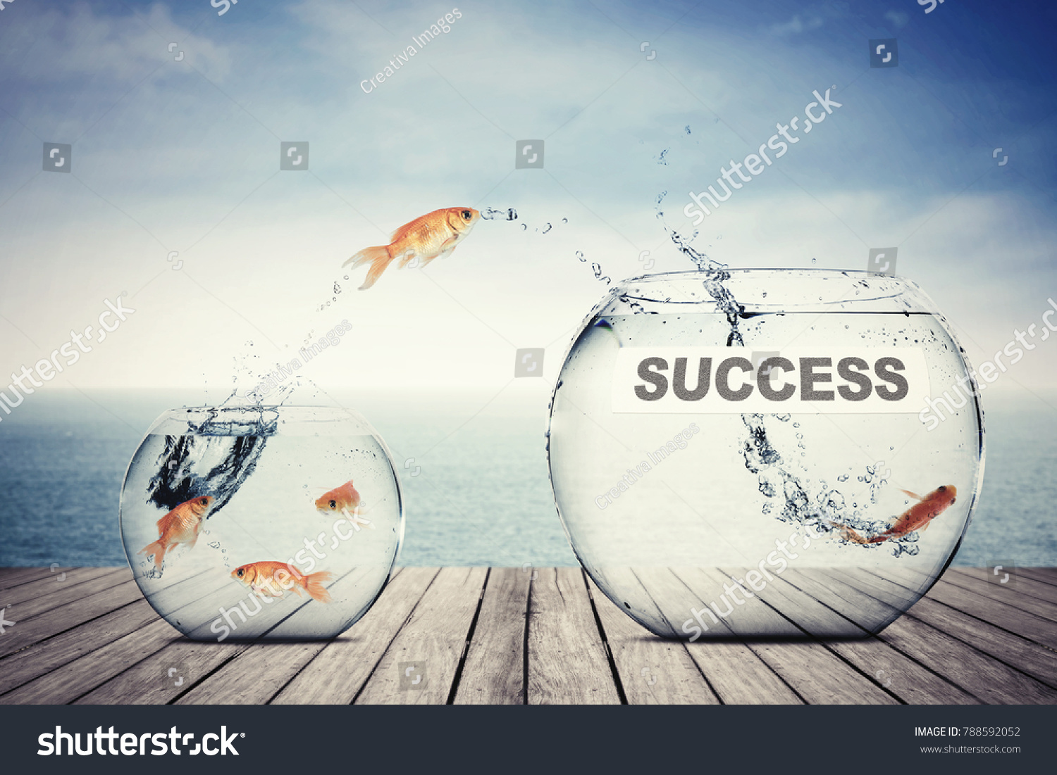Picture of golden fish leaping to another aquarium with success word, concept of better business #788592052