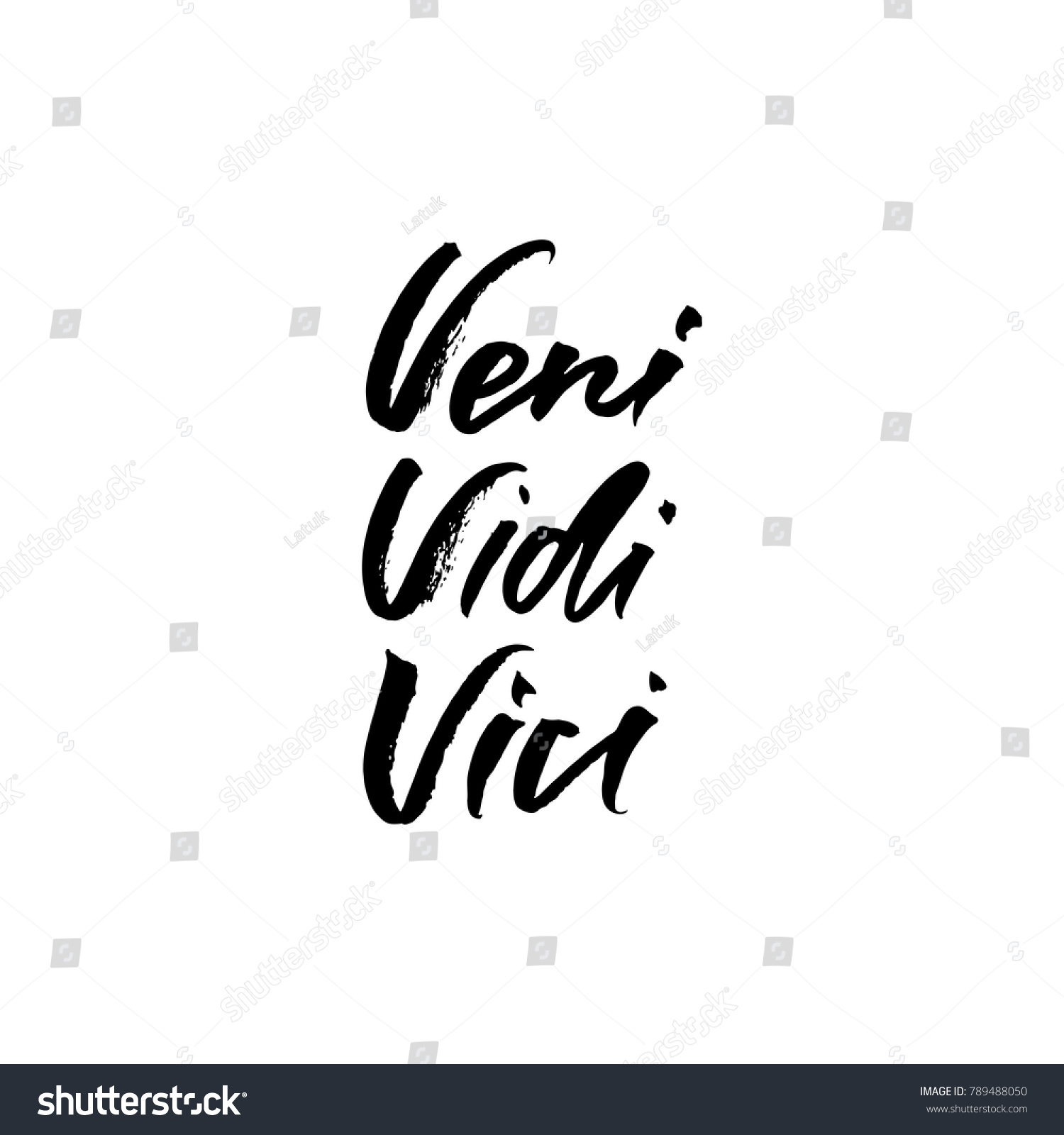 Veni Vidi Vici latin phrase. Translation: I came - Royalty Free Stock ...