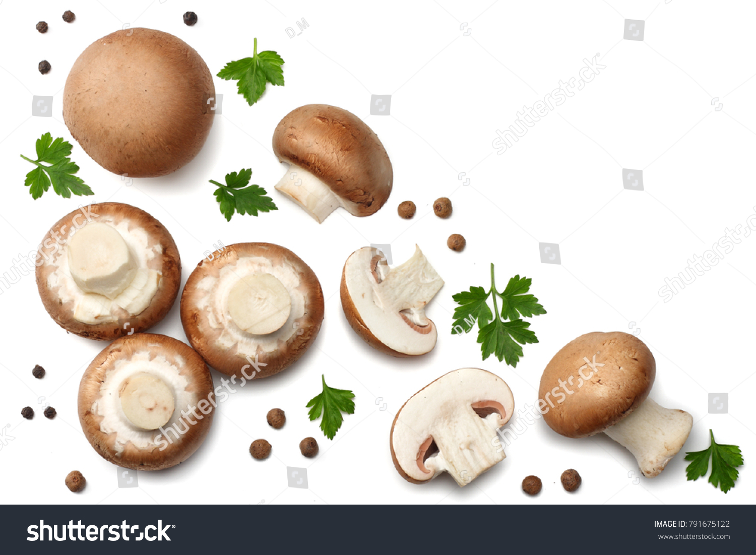 Fresh champignon mushrooms isolated on white background. top view #791675122