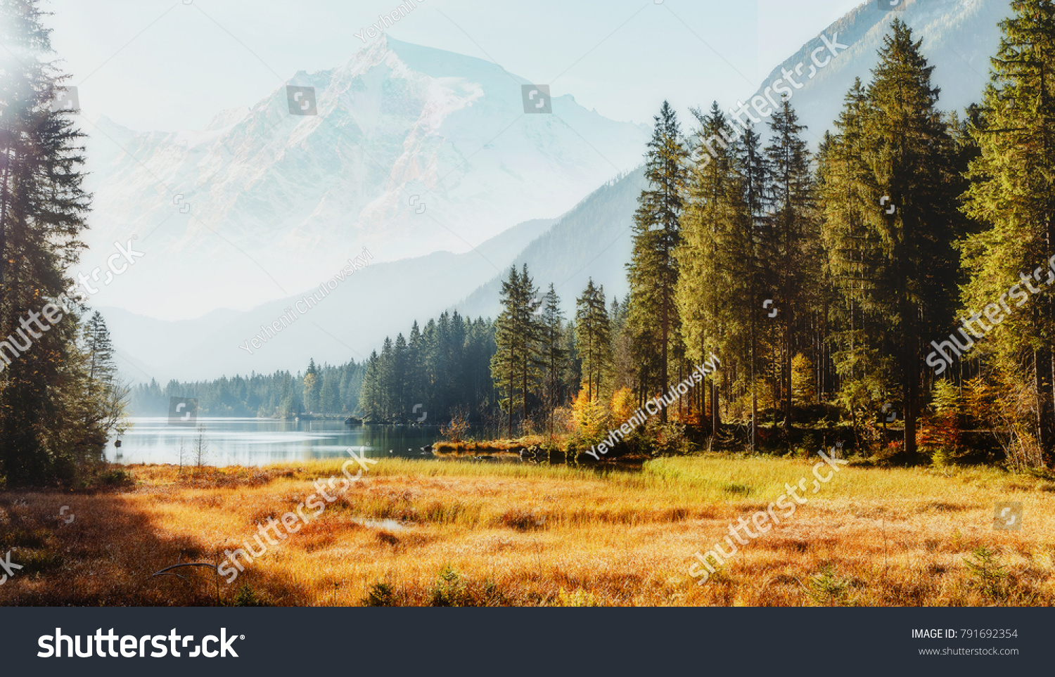 Awesome alpine highlands in sunny day. Scenic image of fairy-tale Landscape in sunlit with Majestic Rock Mountain on background. Wild area. Hintersee lake. Germany.  Bavaria, Alps. Creative image #791692354