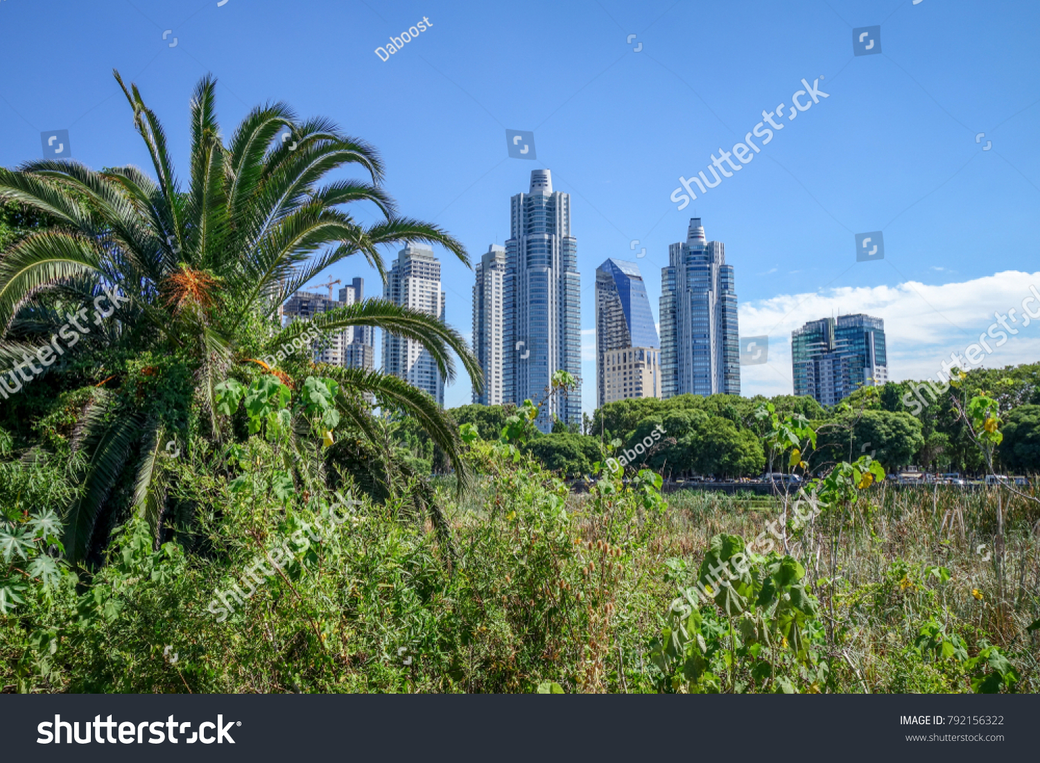 Buenos Aires cityscape, view from Costanera Sur ecological reserve #792156322