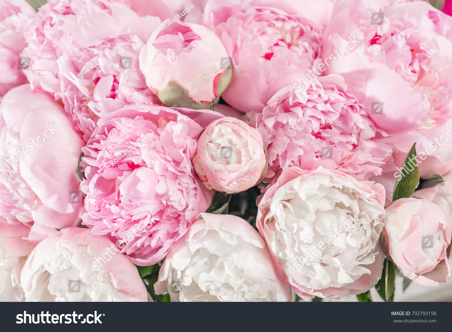 Elegant bouquet of a lot of peonies of pink color close up. Beautiful flower for any holiday. Lots of pretty and romantic flowers in floral shop. #792793198