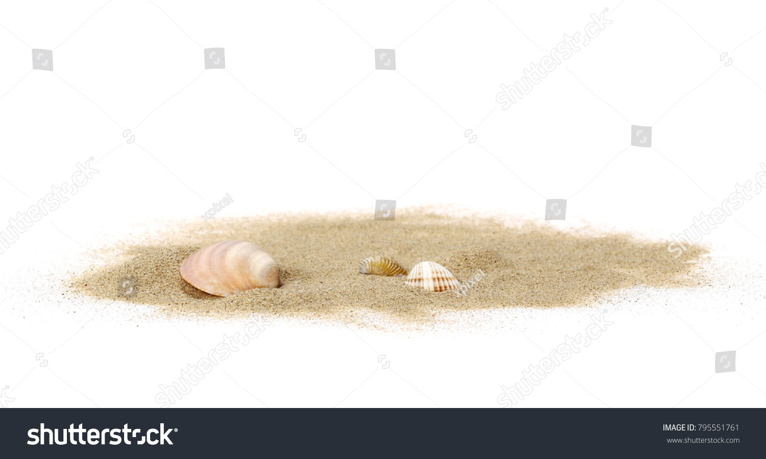 Sea shells in sand pile isolated on white background #795551761