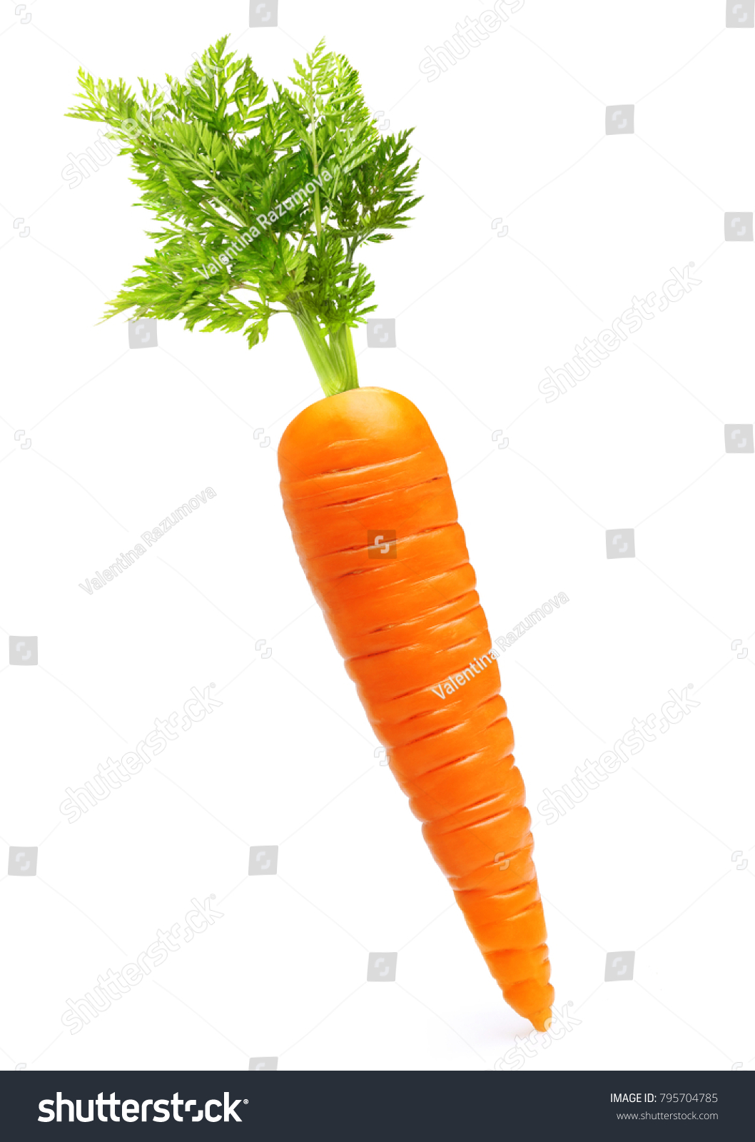 Carrot isolated on white background #795704785