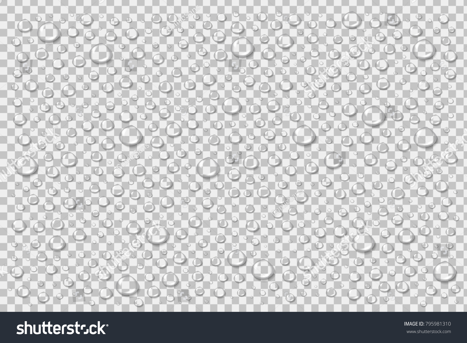 Vector realistic isolated water droplets for decoration and covering on the transparent background. #795981310