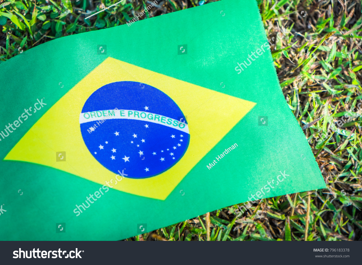 Flag of Brazil national team on soccer field background. The participating country in the championship tournament with copy space. World cup concept #796183378