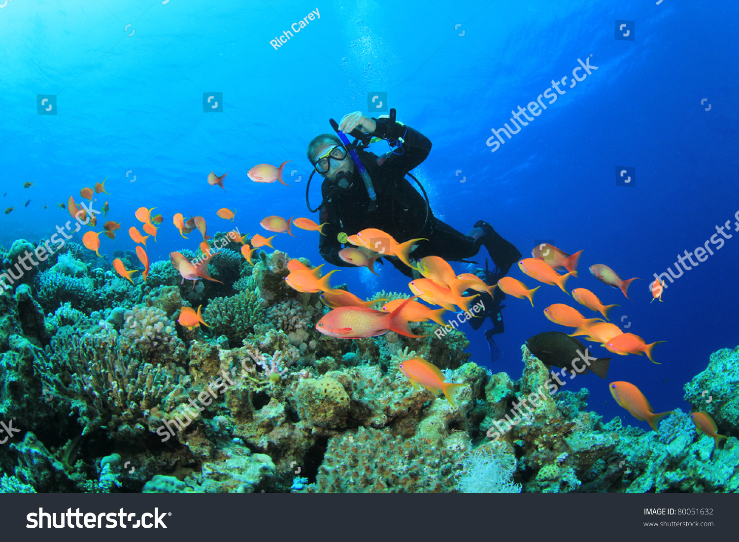 Scuba Diver swims over Coral Reef with Tropical Fish #80051632