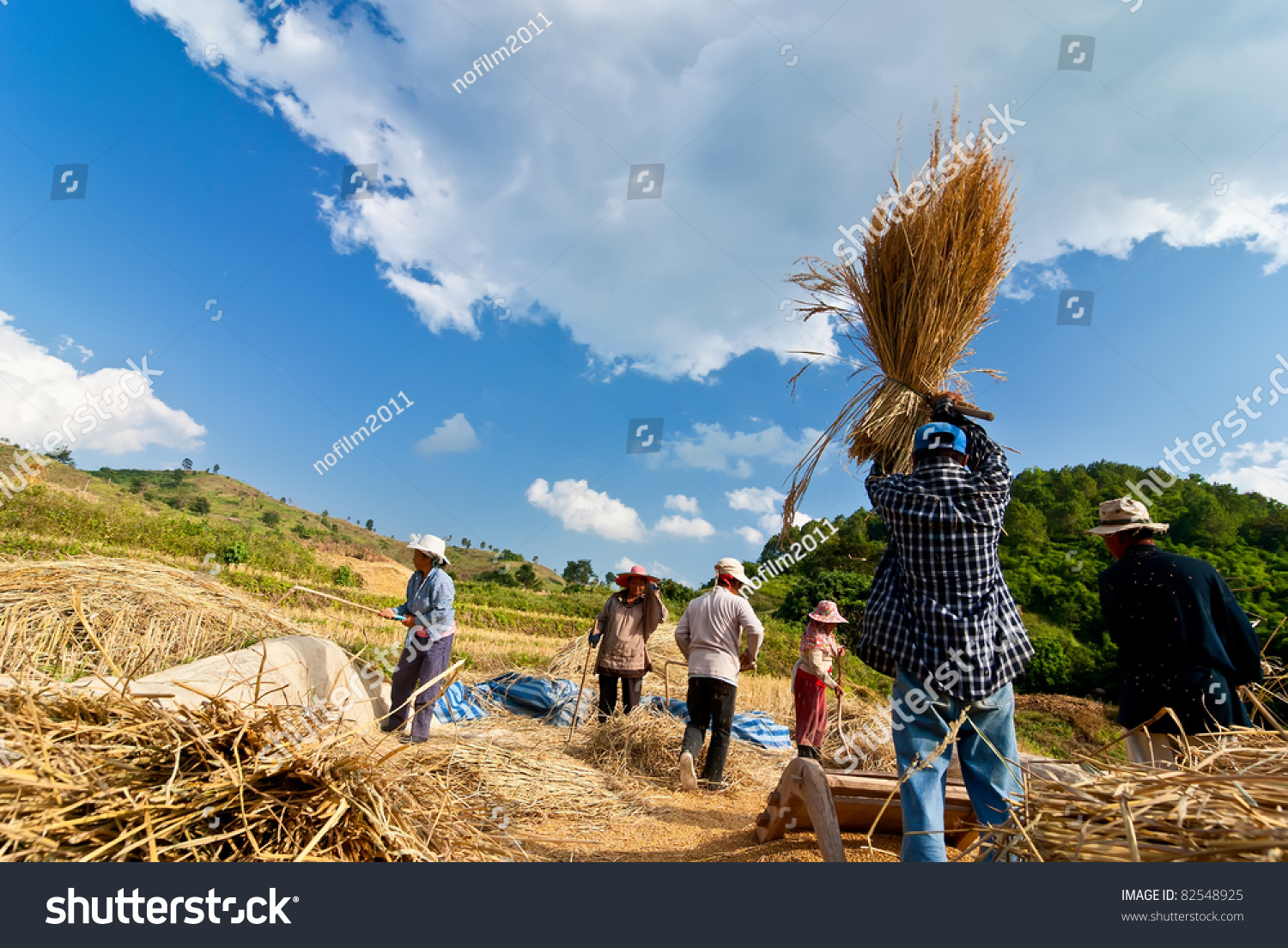 The harvest of a mountain tribe in northern Thailand. #82548925