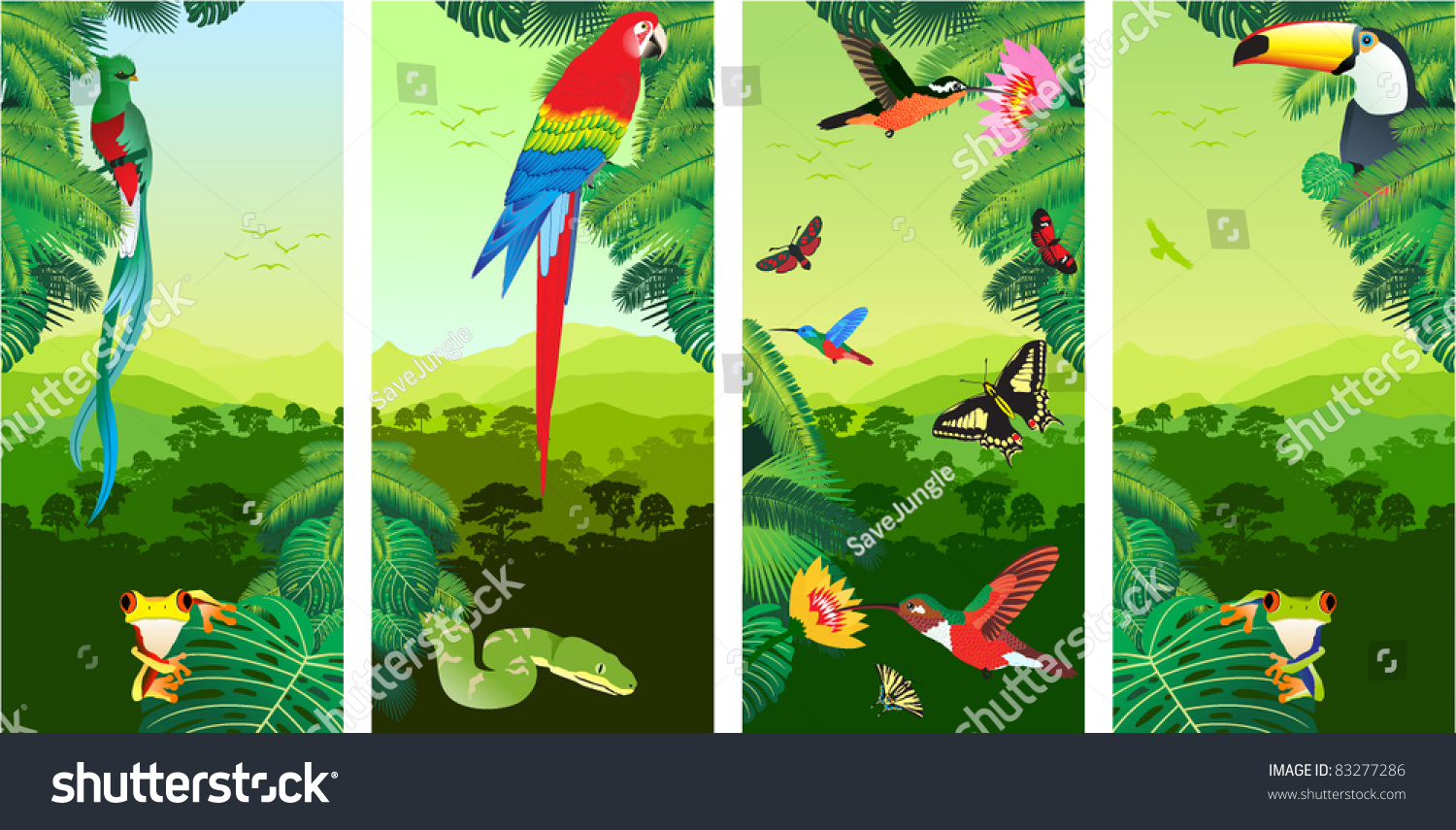 Set of Jungle Banners with Frog, Toucan, quetzal, humming-birds, butterflies , Ara and Green Snake #83277286