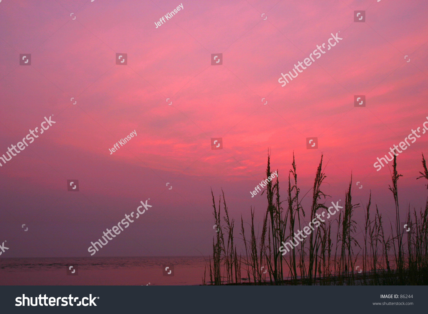 Sea Oat Sunset
Johns Pass Fl #86244