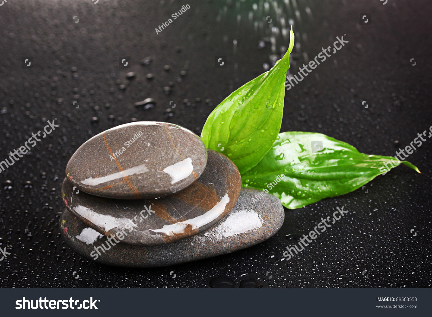 spa stones with water drops and leaves on black background #88563553