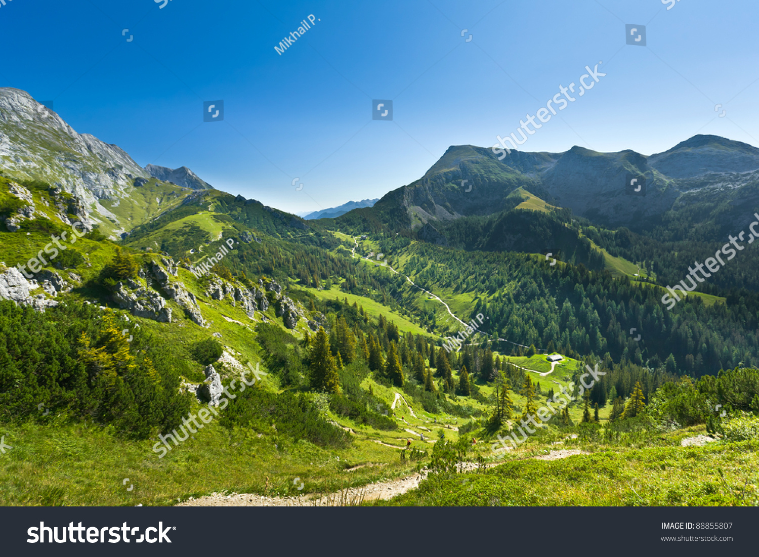 View of the mountain valley. Germany. Jenner am Koenigssee. #88855807