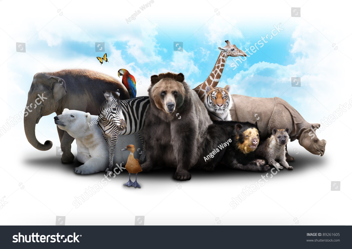 A group of animals are grouped together on a white background. Animals range from an elephant, zebra, bear and rhino. Use it for a zoo or friends concept. #89261605