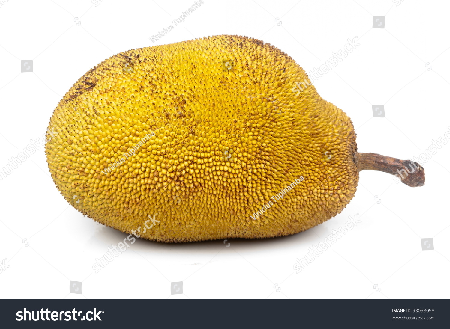 Jackfruit aka Jaca, fruit from the tropics . #93098098
